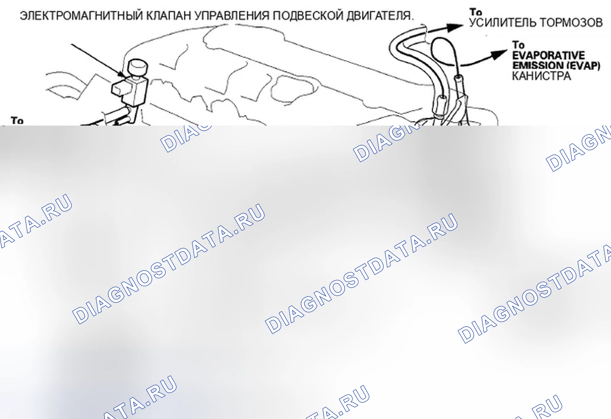 Рис. 978: Трассировка вакуумного шланга. Honda Accord VIII