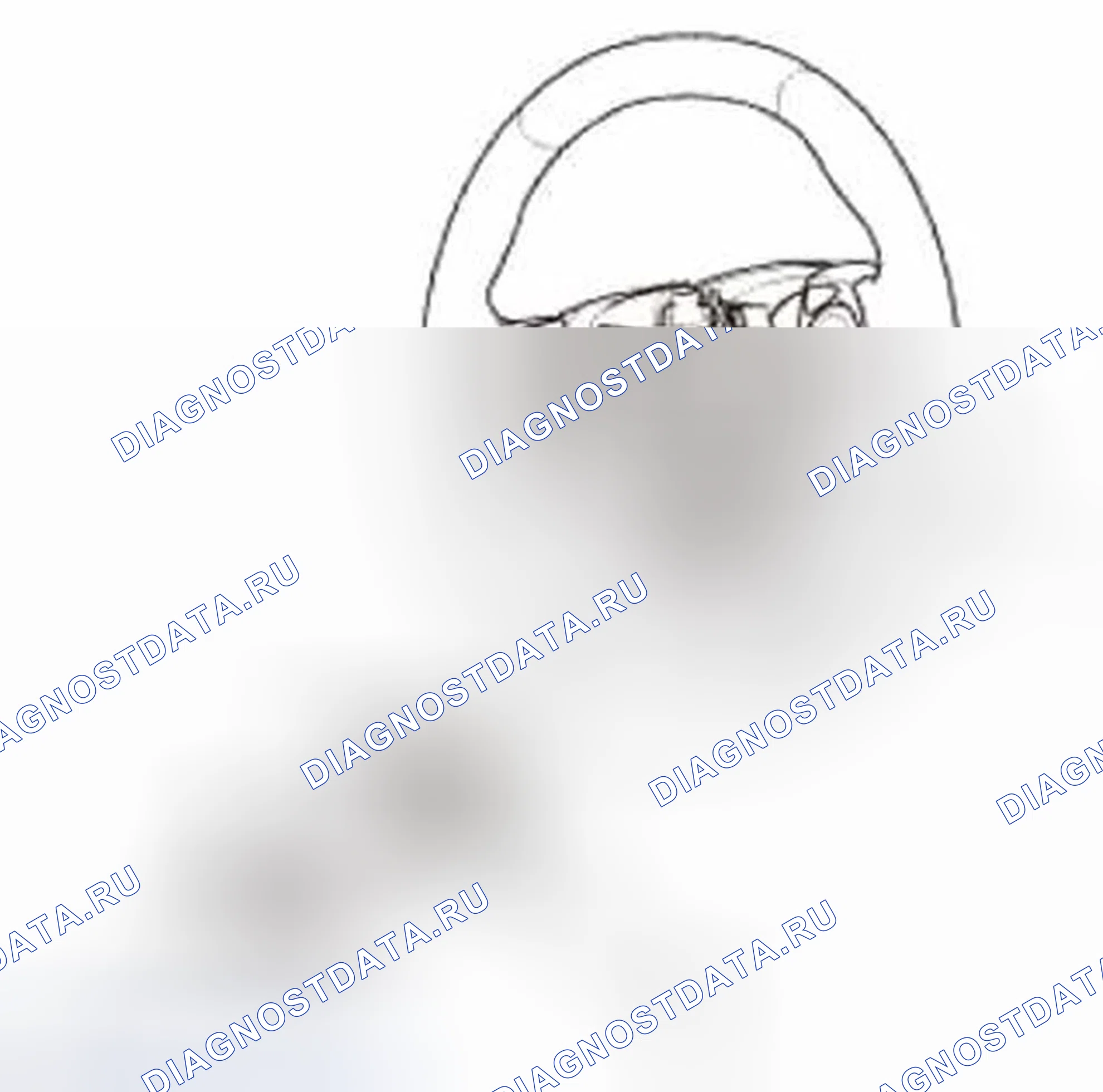 Рис. 323: Разборка. Honda Civic IX