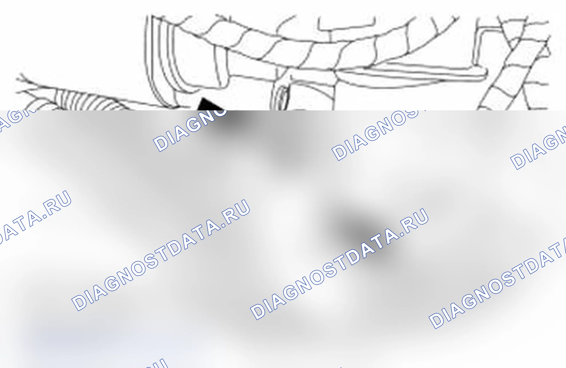 Рис. 288. Ford Transit Connect I рестайлинг