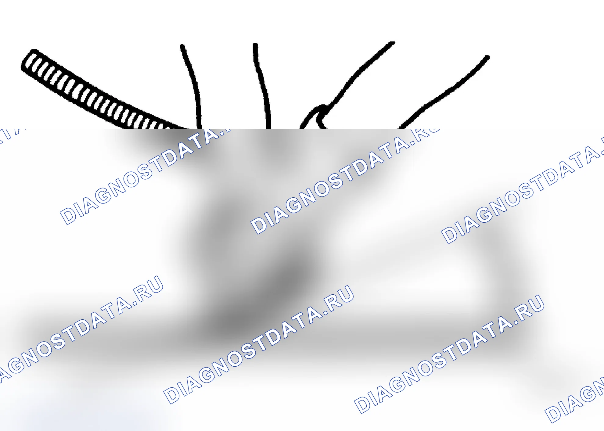 Рис. 326. Dodge Dakota III