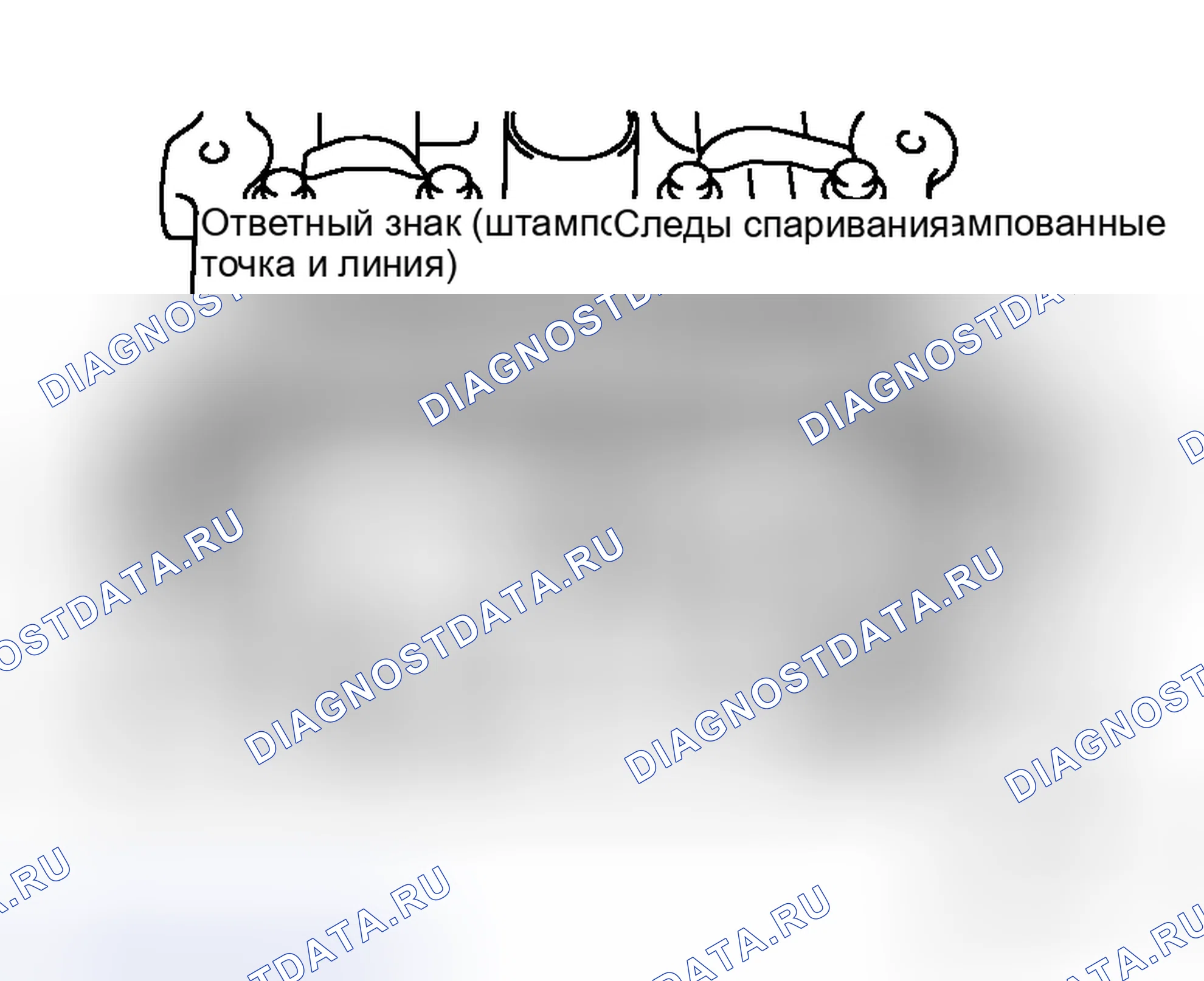 Рис. 147. Honda Stepwgn I