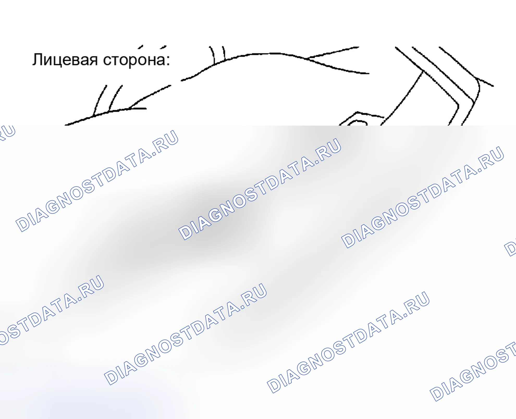 Рис. 134: ИНСПЕКЦИЯ. Honda Accord II