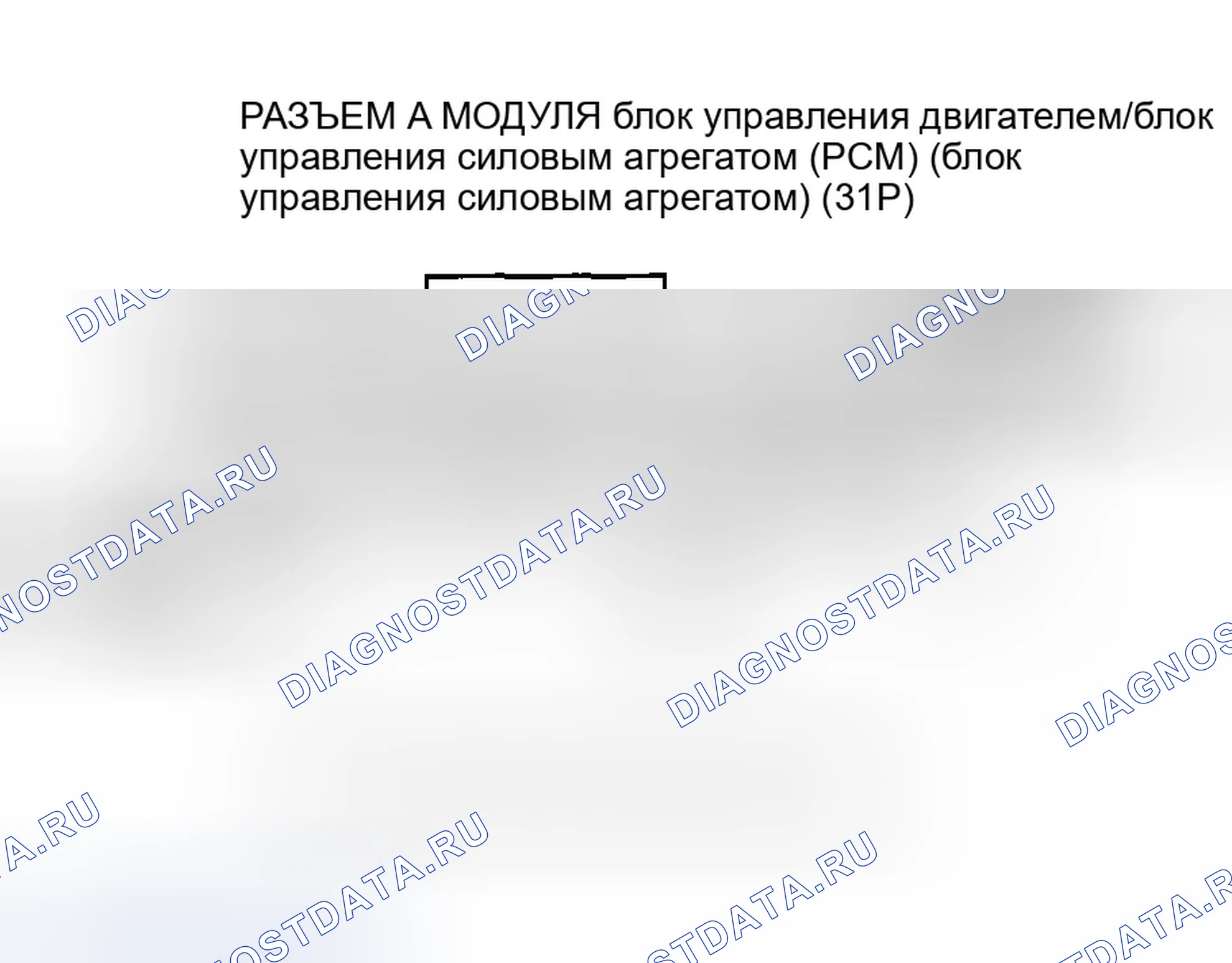 Рис. 245. Honda Accord VII рестайлинг