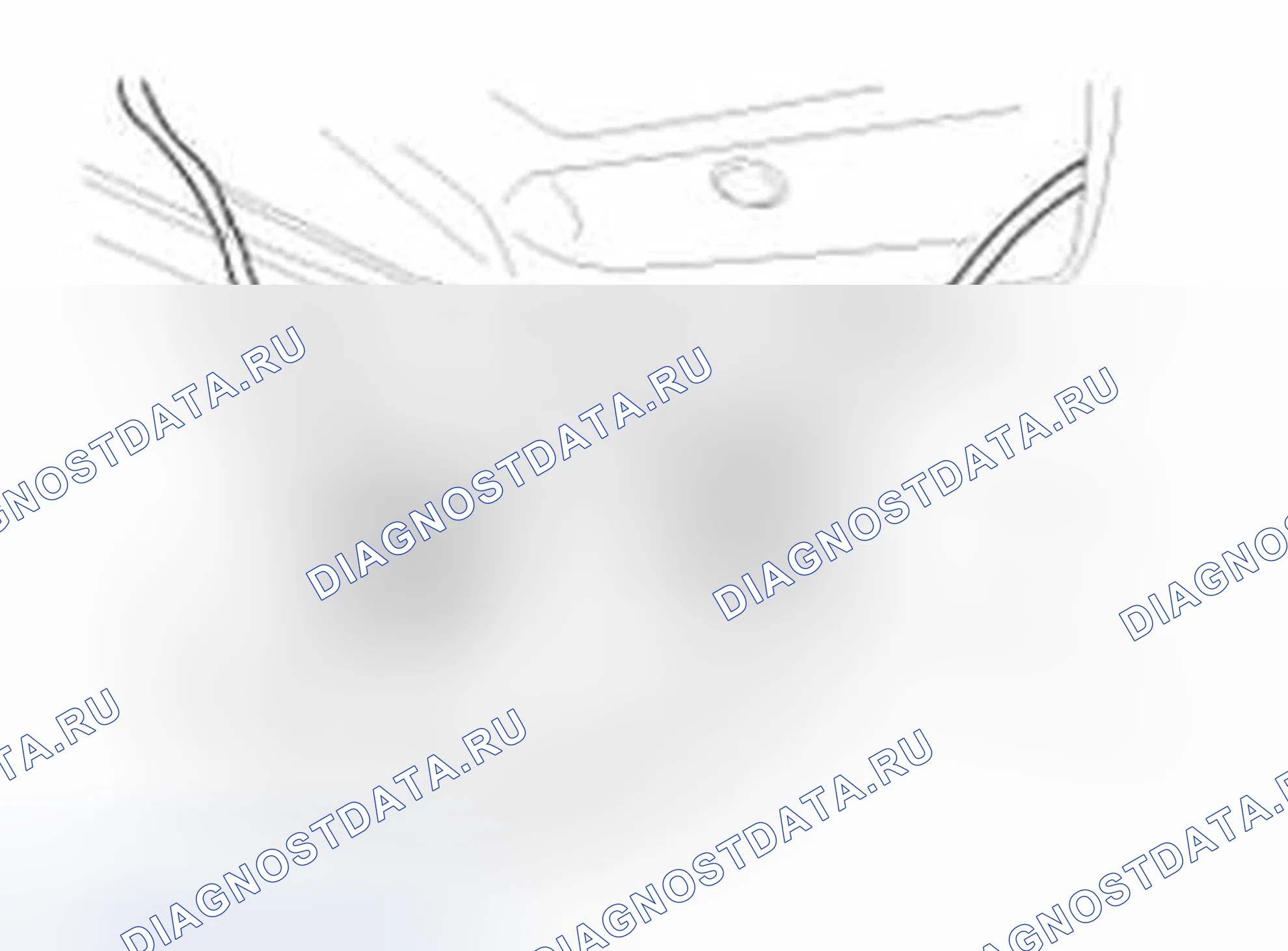 Рис. 56. Hyundai Sonata VI