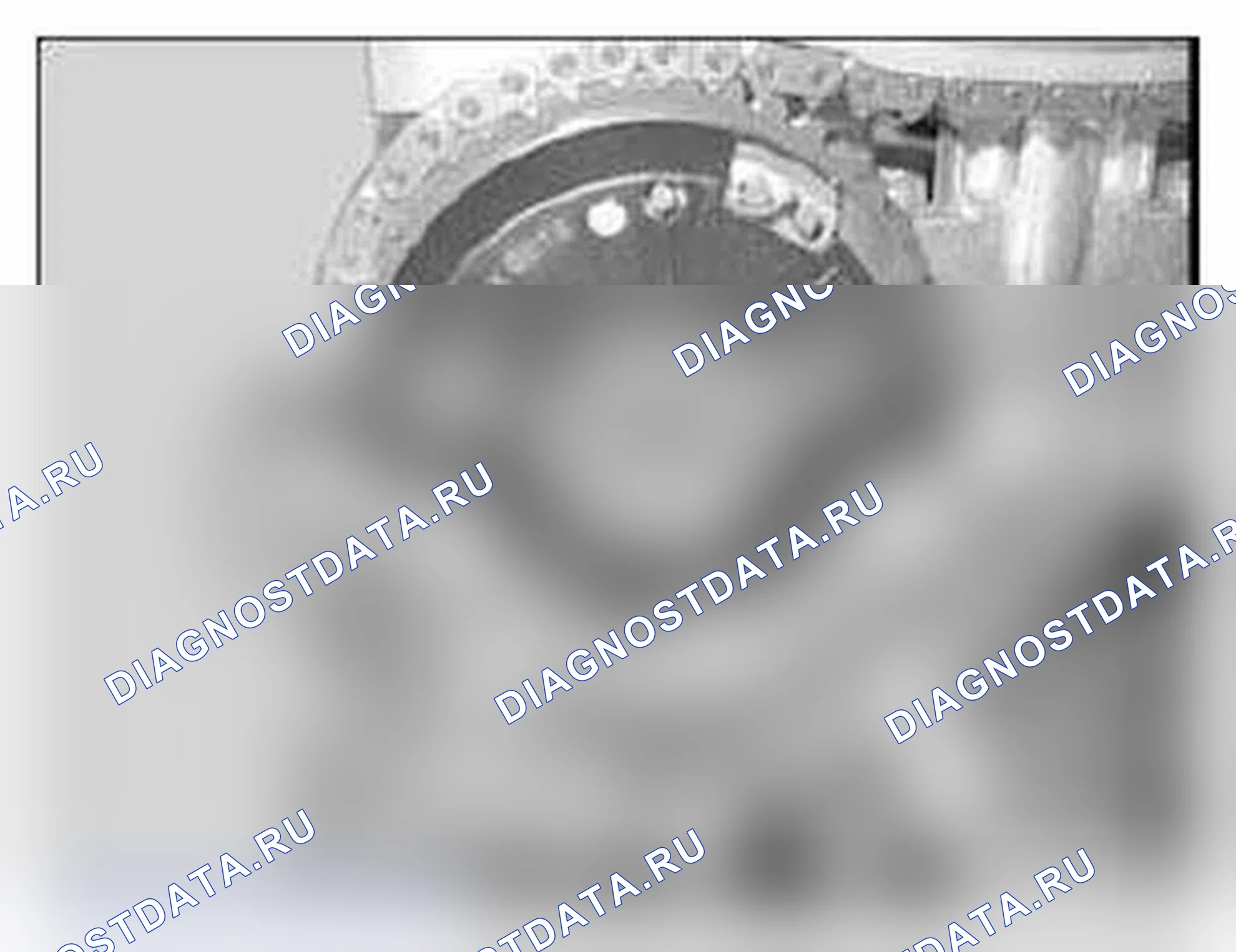 Рис. 409: Идентификация центрального болта входного регулировочного устройства. BMW X5 M E70