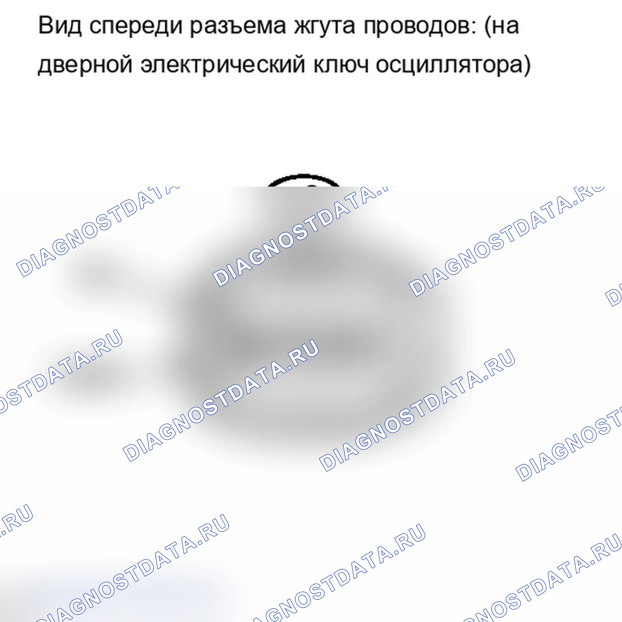 Рис. 254. Lexus IS F I