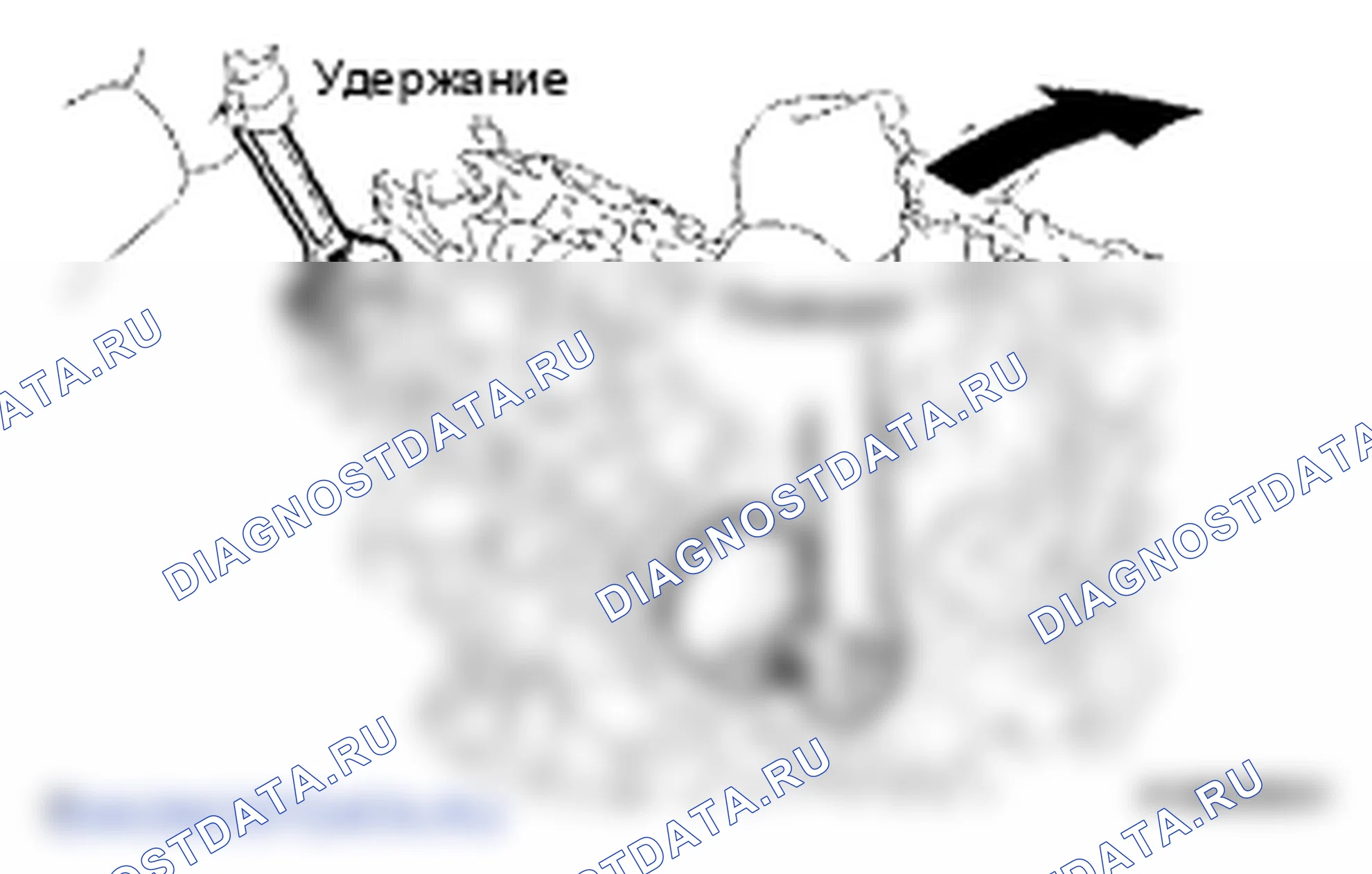Рис. 469. Lexus LS IV