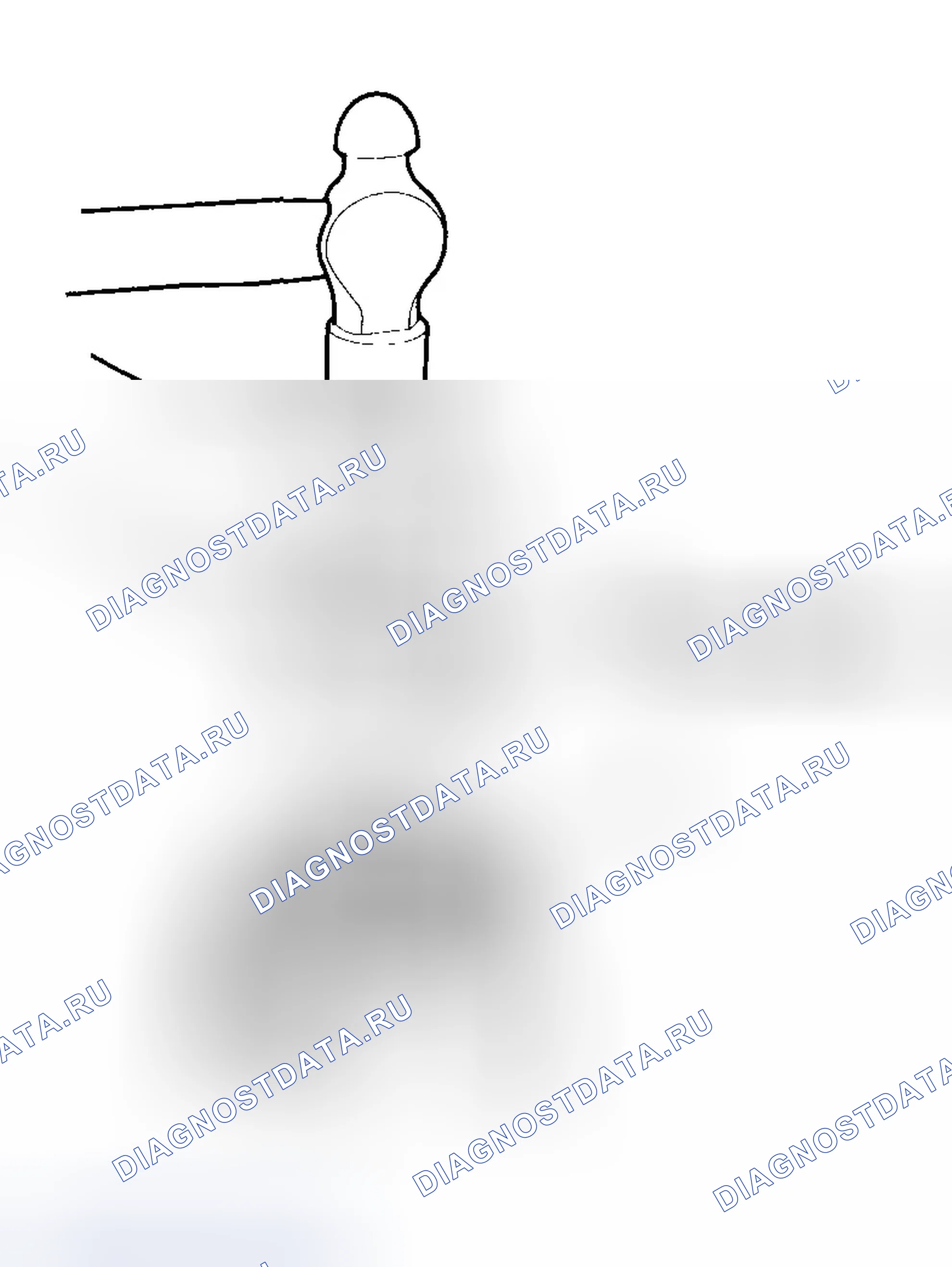 Рис. 24. Honda Element YH2