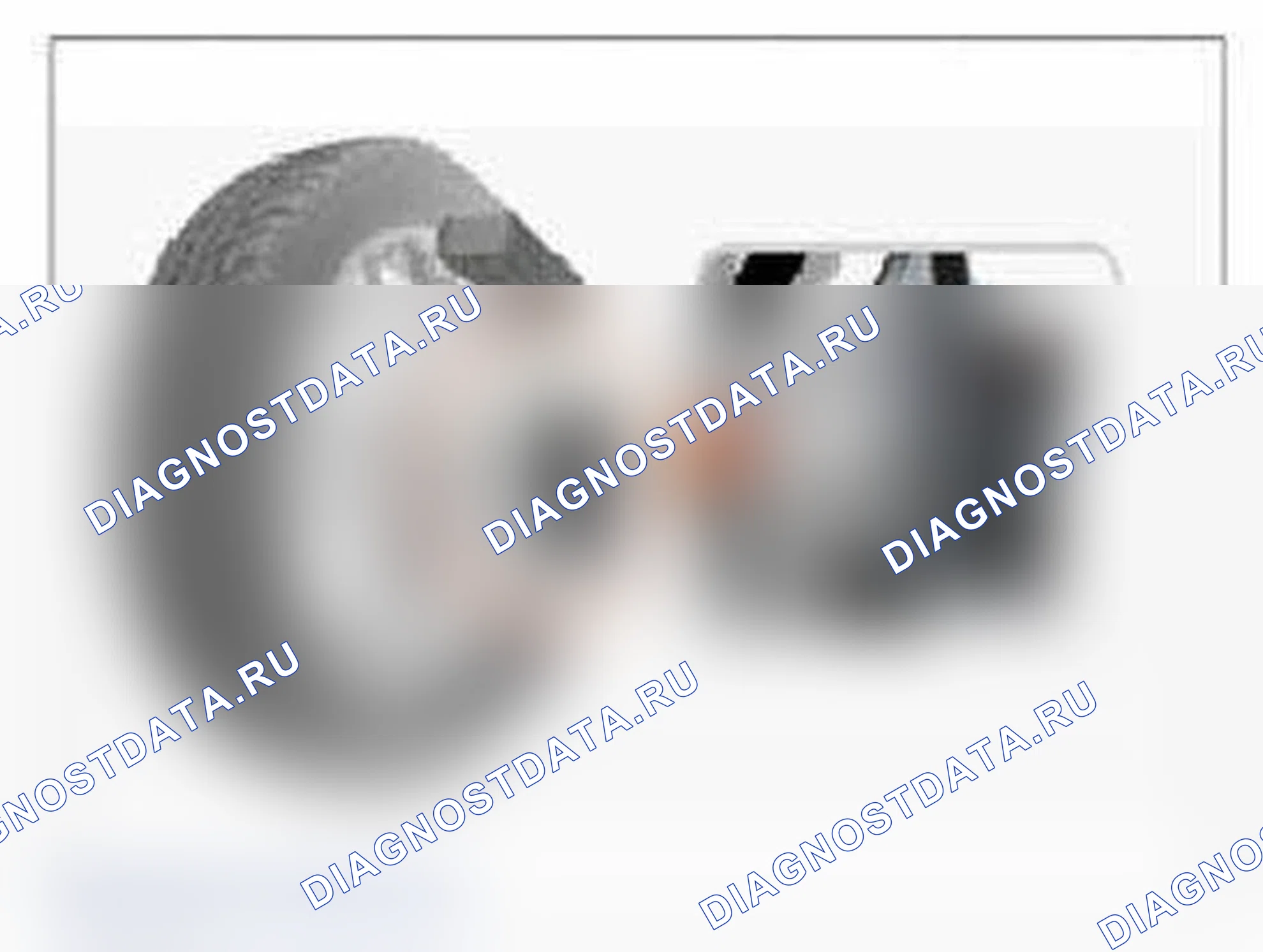 Рис. 68: Мониторинг данных GDS. Hyundai Santa Fe III