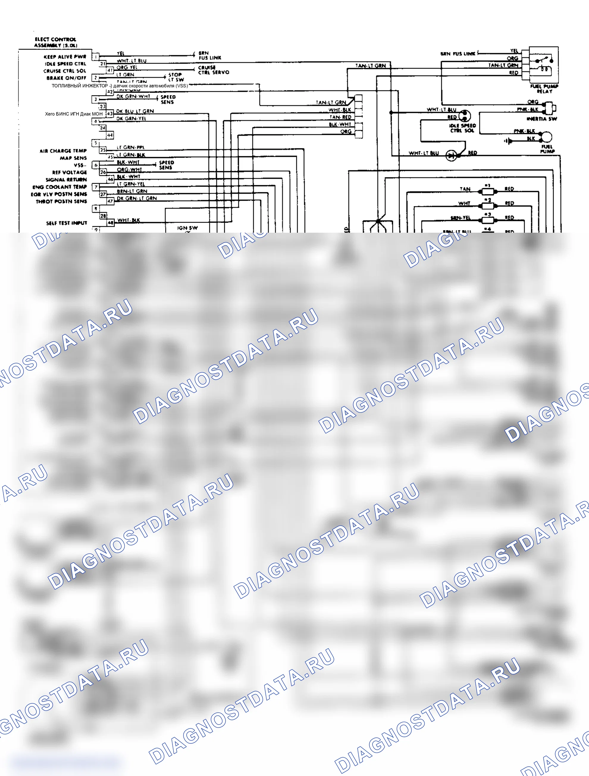 Рис. 62: Проводка 5.0L SEFI EEC-IV диам. (Корона Виктории и Великого маркиза). Ford Tempo I