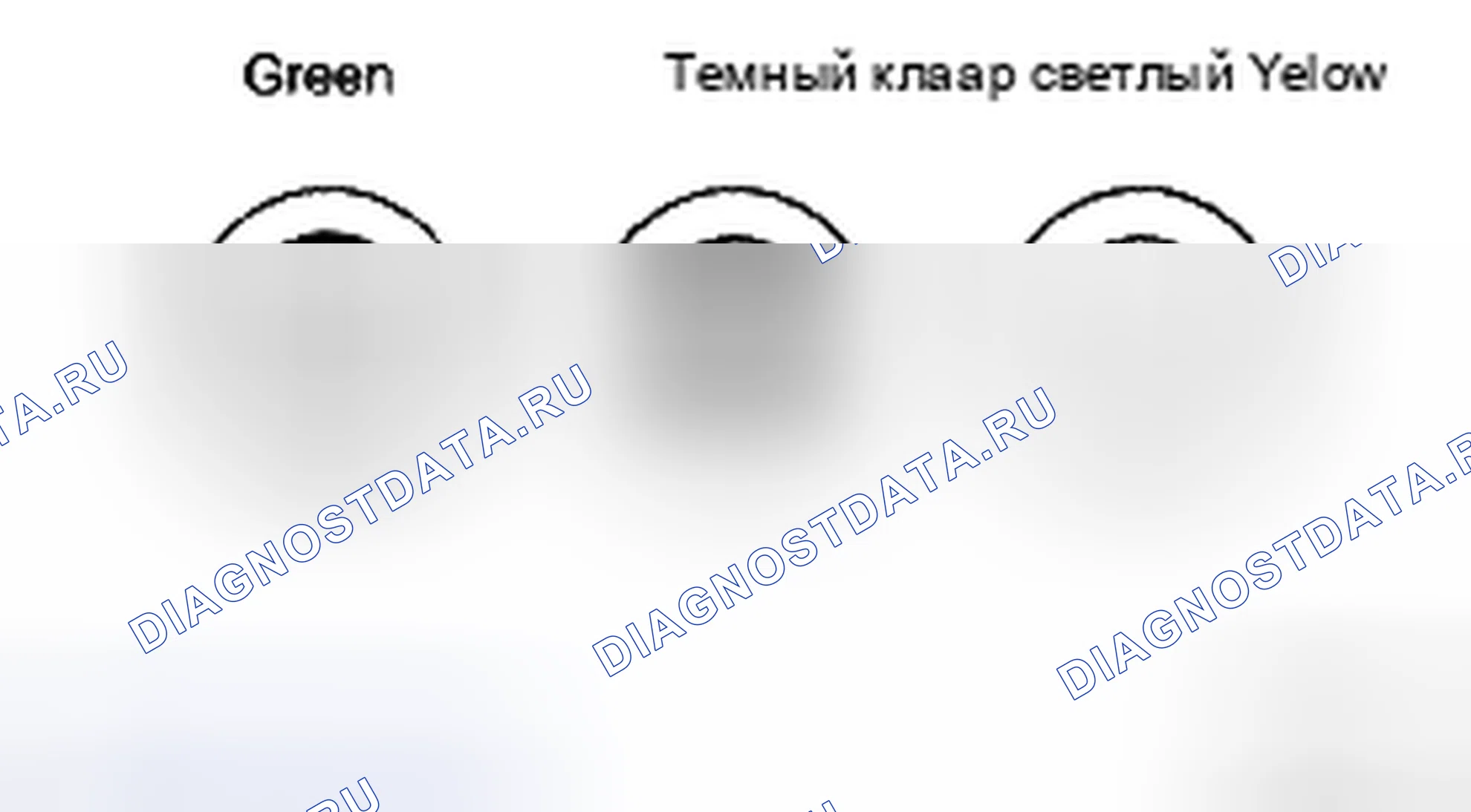 Рис. 1: ОСМОТР ТРАНСПОРТНОГО СРЕДСТВА. Haval H5 II