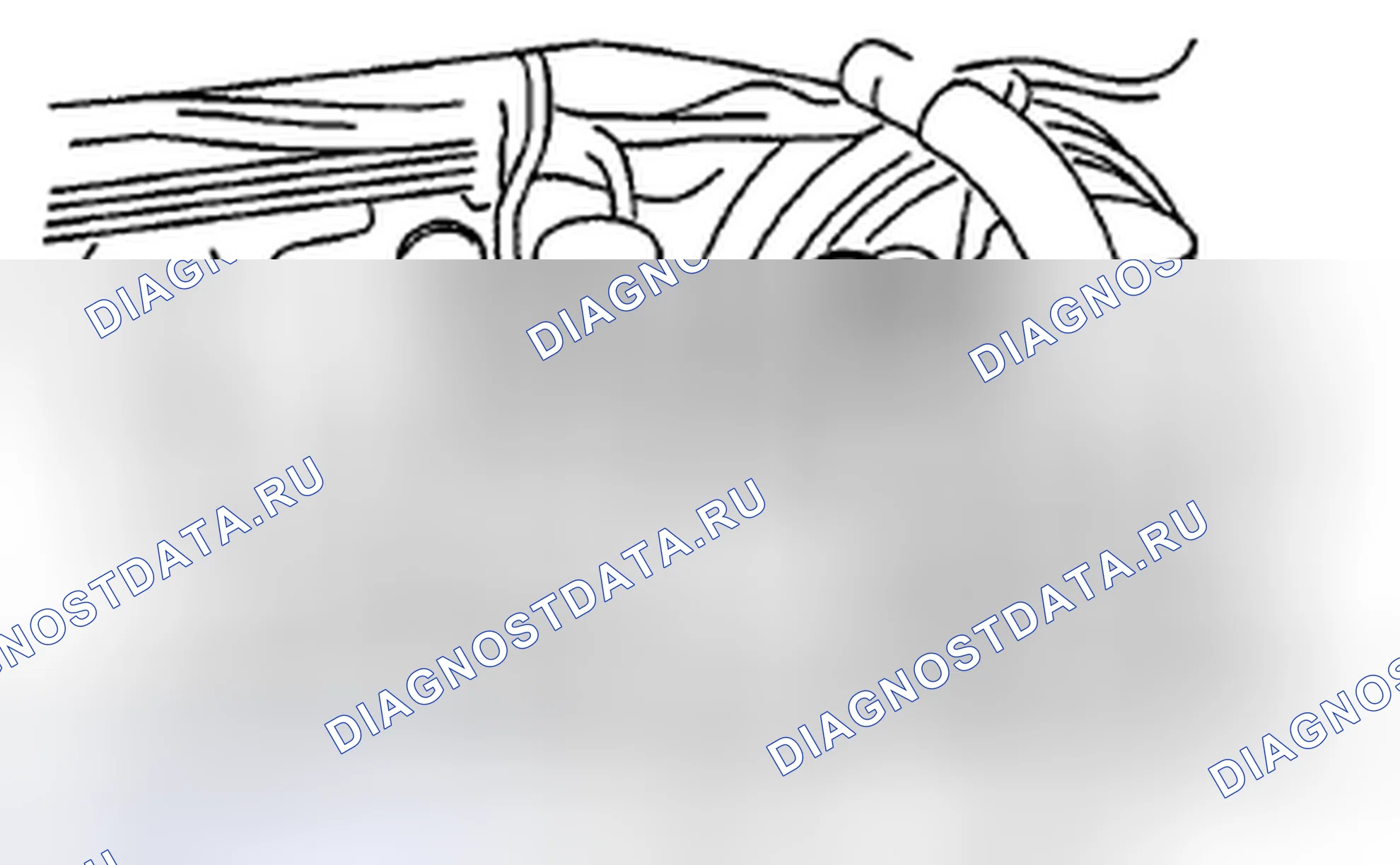 Рис. 485. Subaru Impreza GH