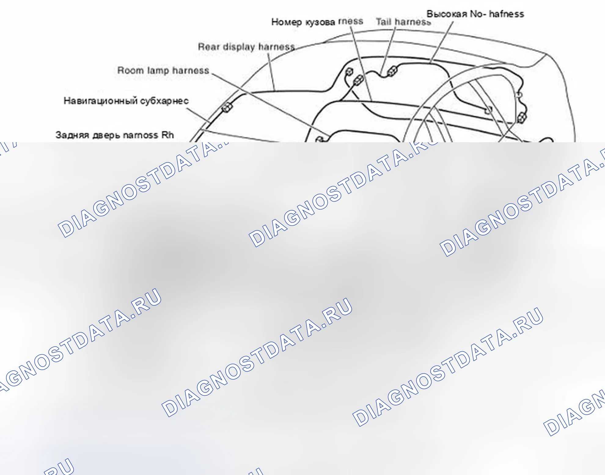 Рис. 13: КОНТУР. Infiniti M35 III рестайлинг