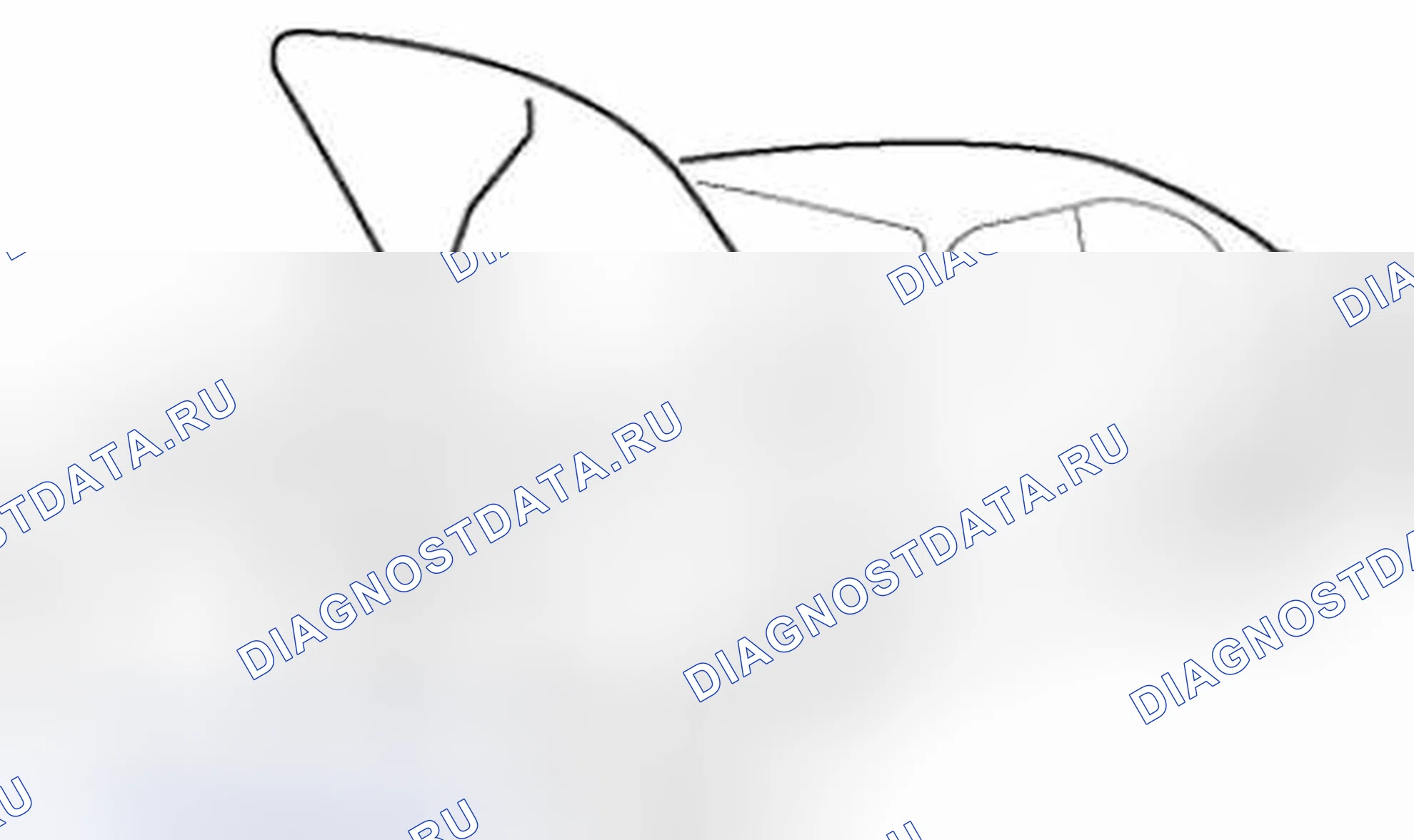 Рис. 28: Защита транспортного средства. Honda Civic IX рестайлинг