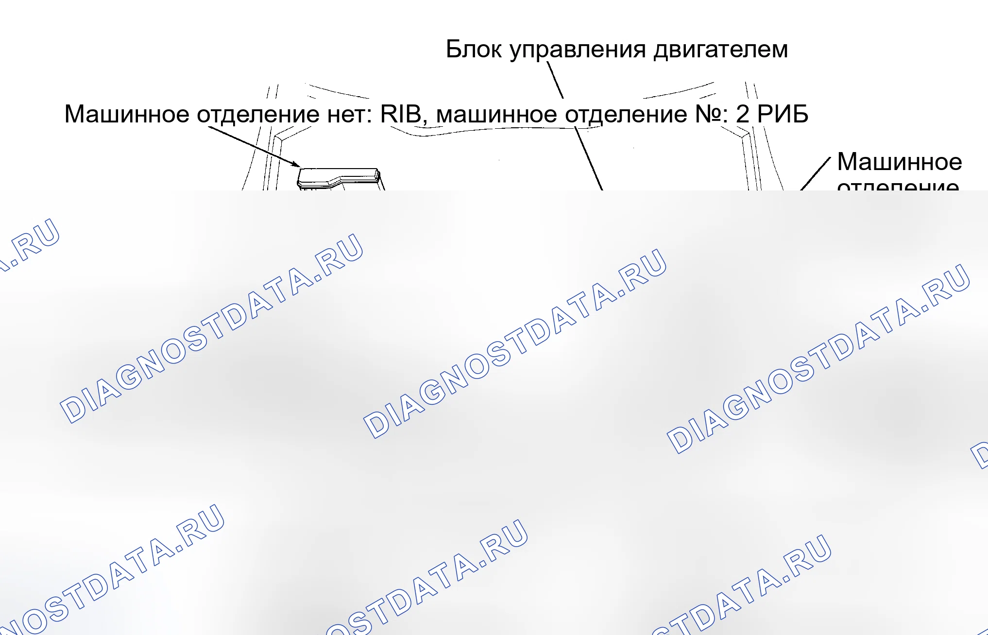 Рис. 1: ГРАФИКИ РАСПОЛОЖЕНИЯ КОМПОНЕНТОВ. Lexus IS I