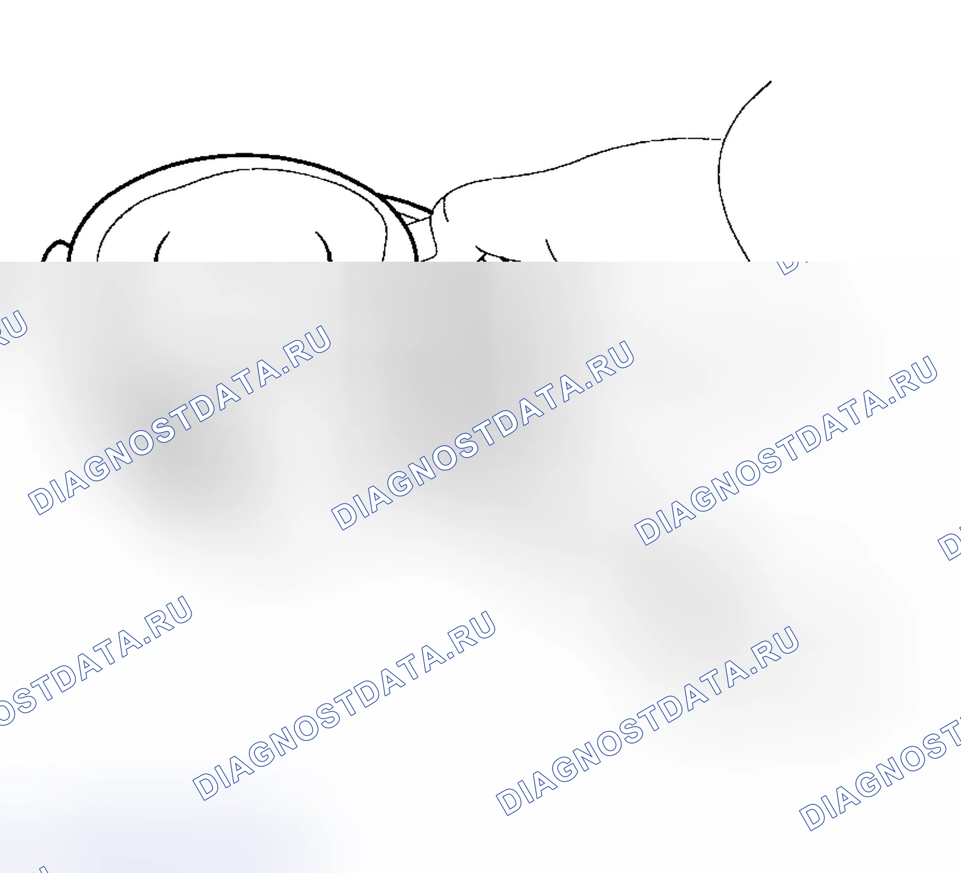 Рис. 353: ПОРШЕНЬ И КОЛЬЦА. Haval Chitu I