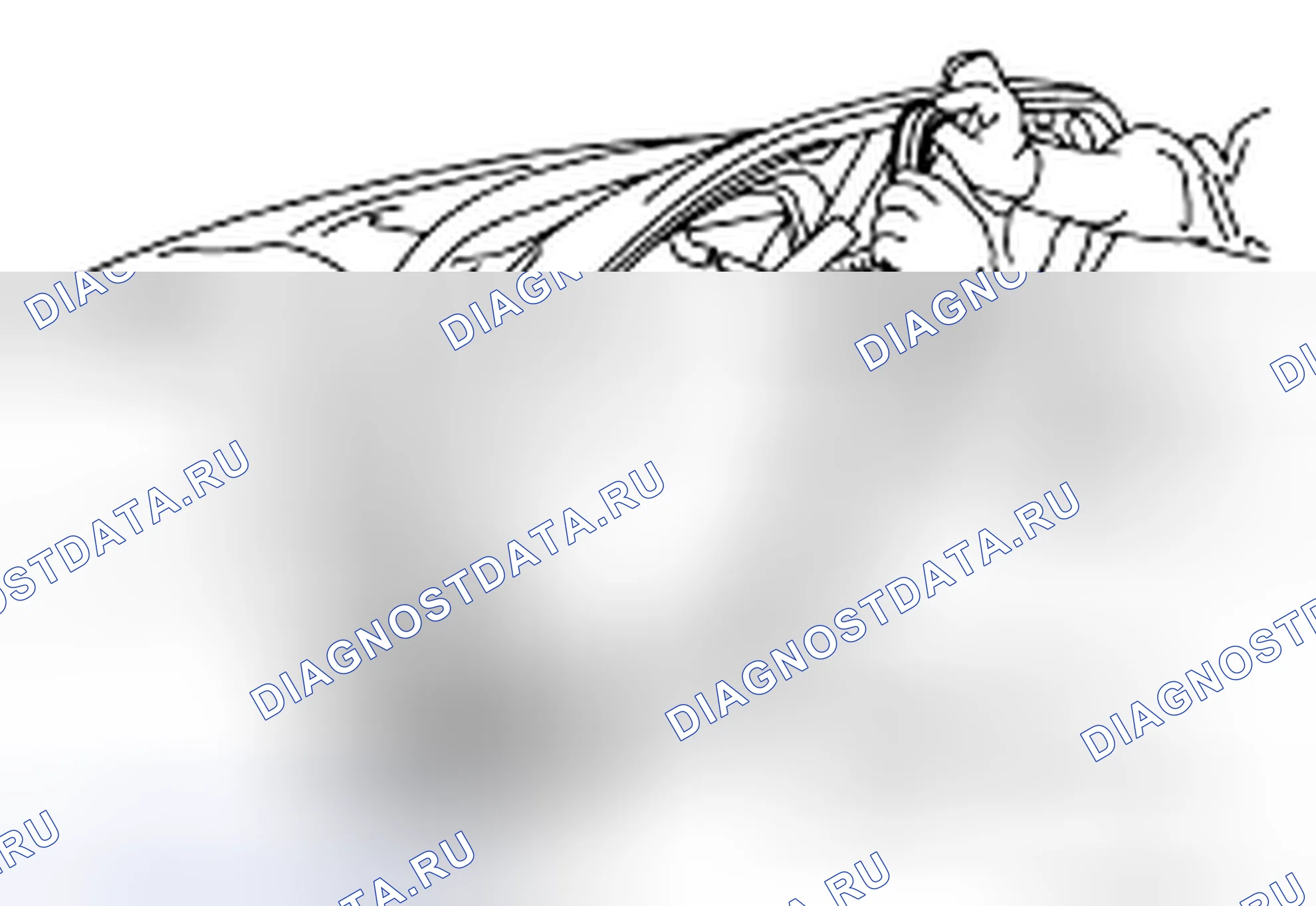 Рис. 48. Nissan 350Z I рестайлинг
