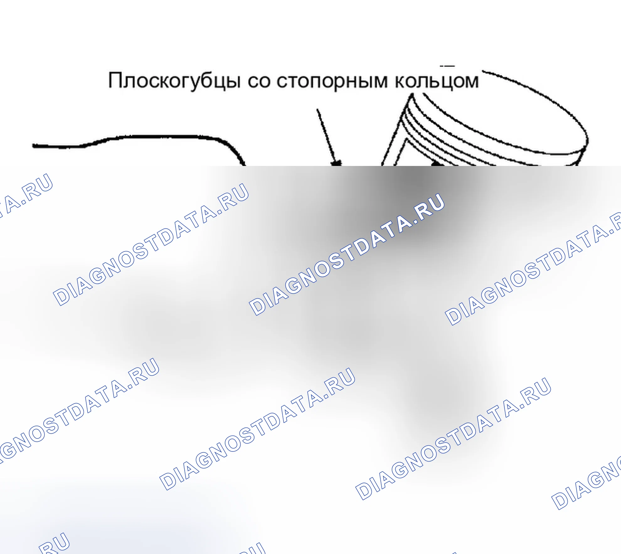 Рис. 1206. Infiniti G35 III
