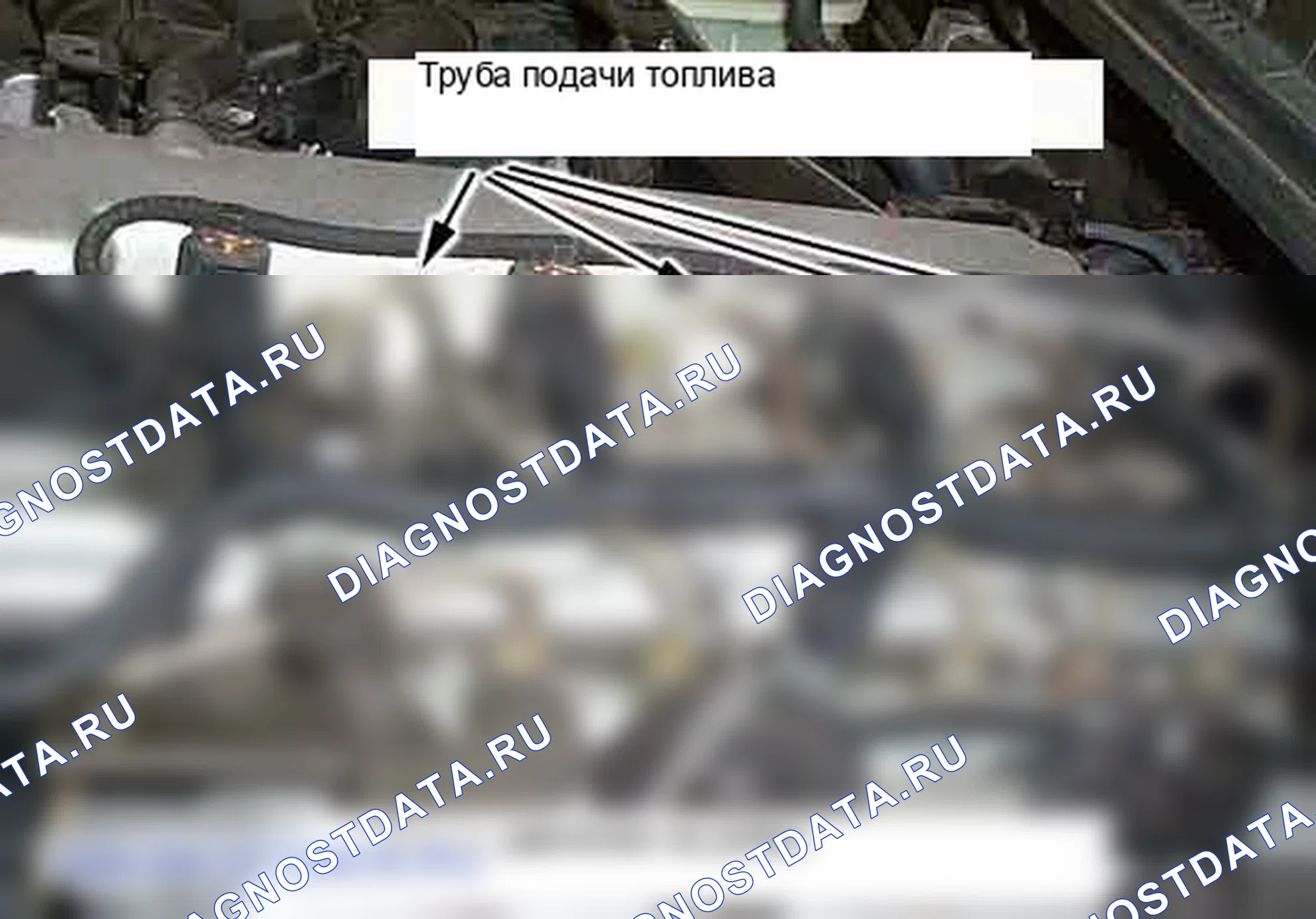P0190: Датчик давления топливной рейки (RPS) -малевая функция. Kia Sorento BL