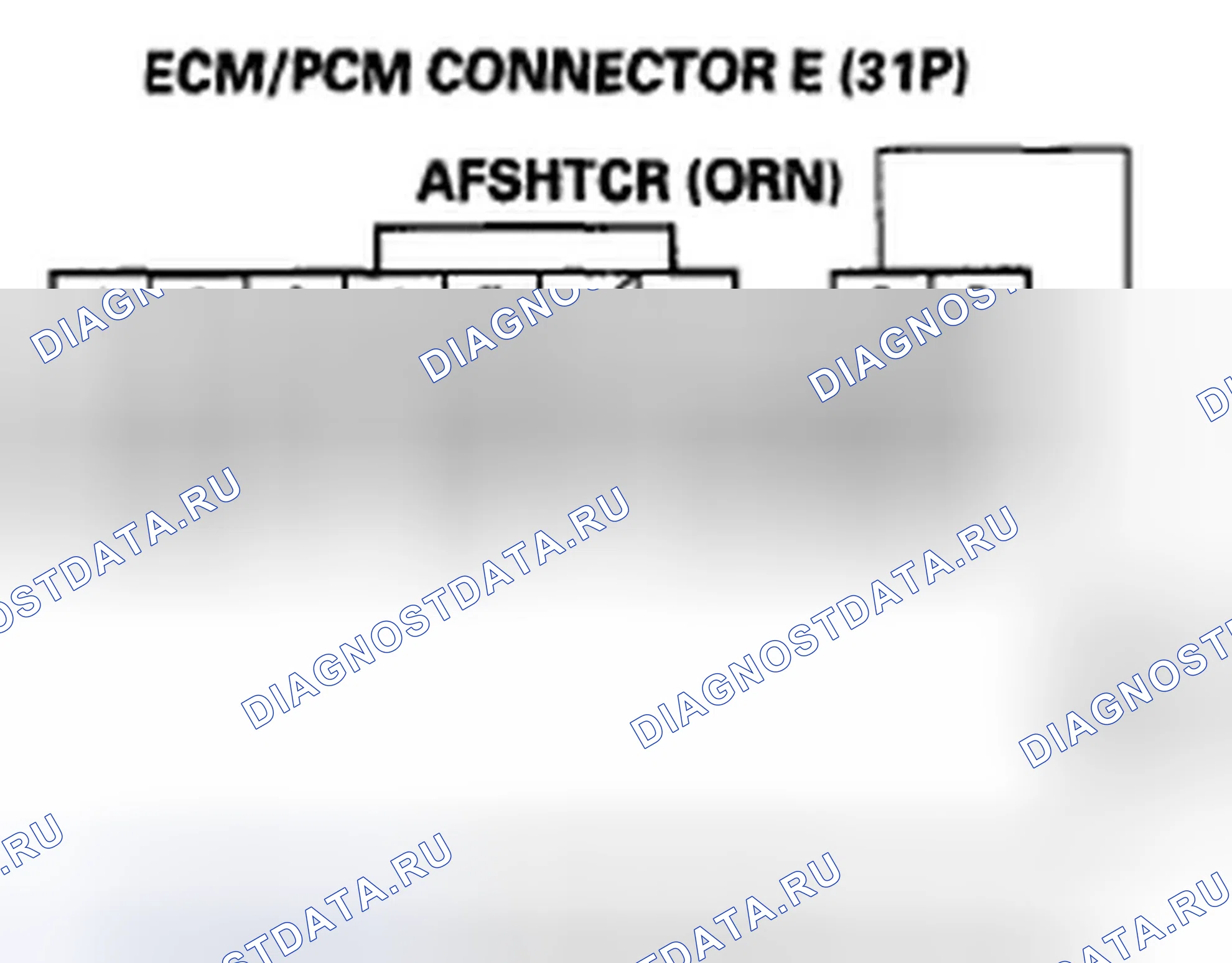 Рис. 393. Honda Element YH2 рестайлинг 2