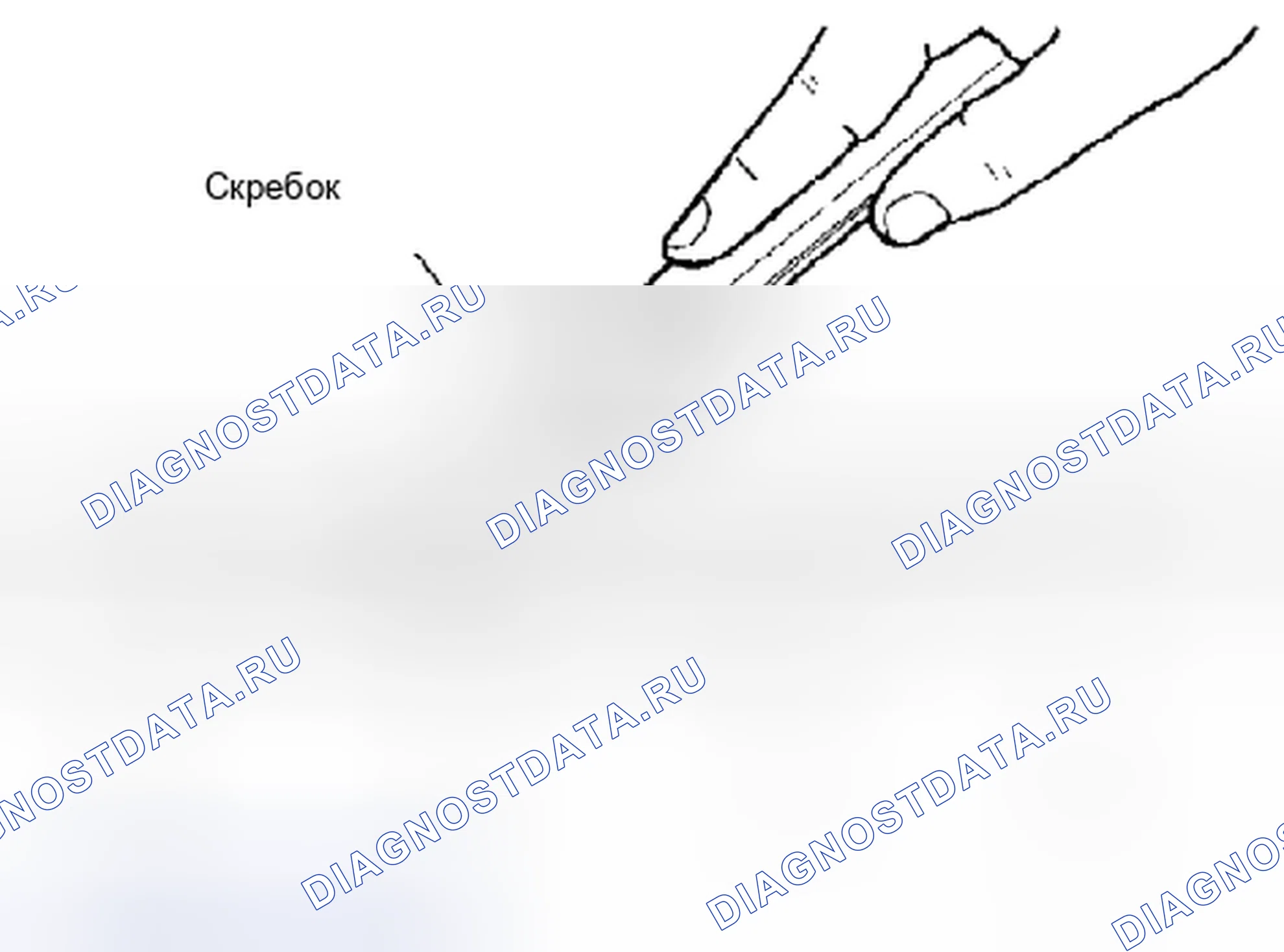 Рис. 2: ПРОЦЕДУРА УСТАНОВКИ ЖИДКОСТНОЙ ПРОКЛАДКИ. Suzuki Equator I