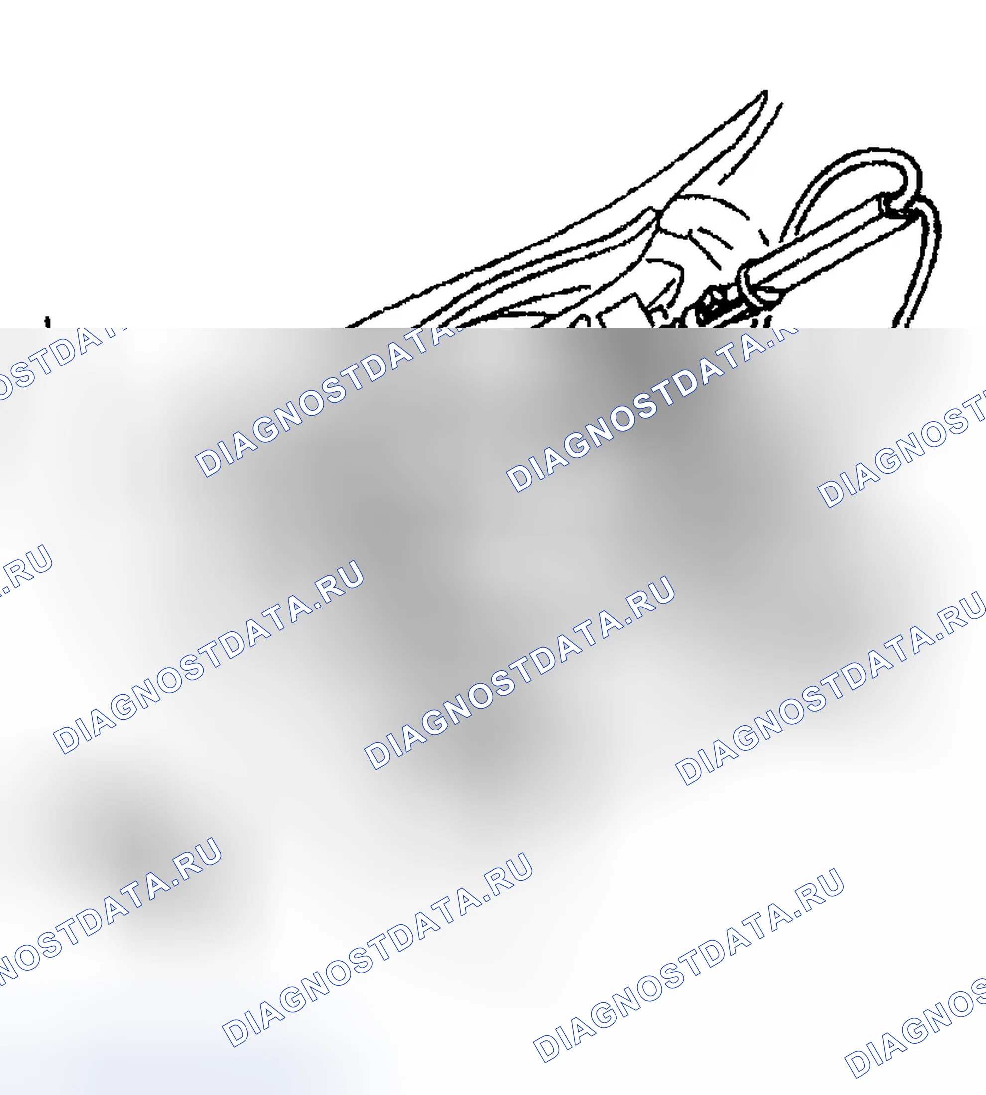 Рис. 71. Chevrolet TrailBlazer I