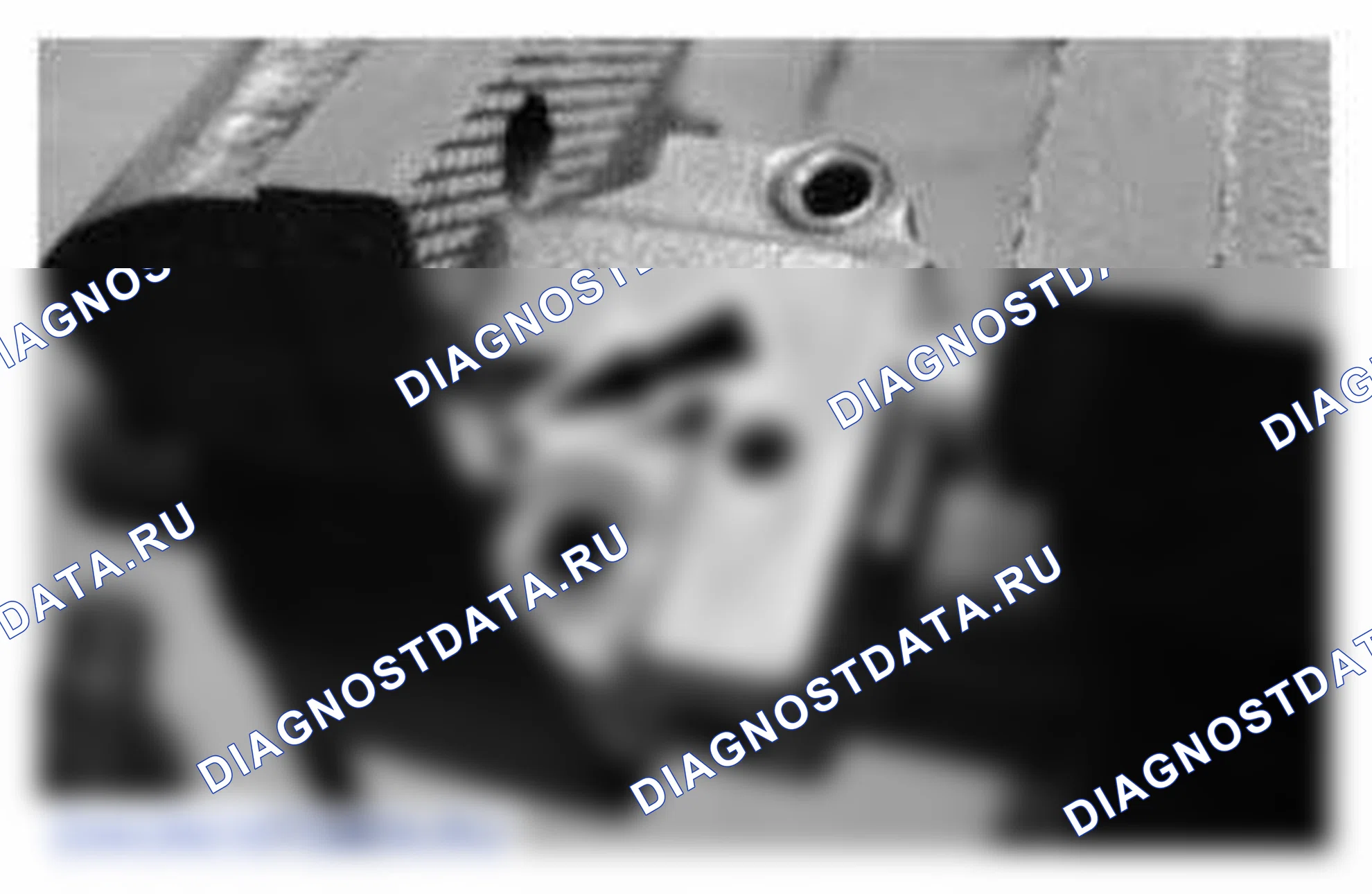 Рис. 969. Ford Mustang V рестайлинг
