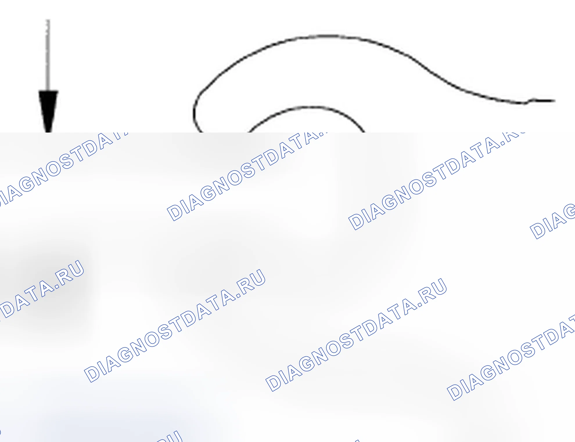 Рис. 129. Honda Element YH2 рестайлинг