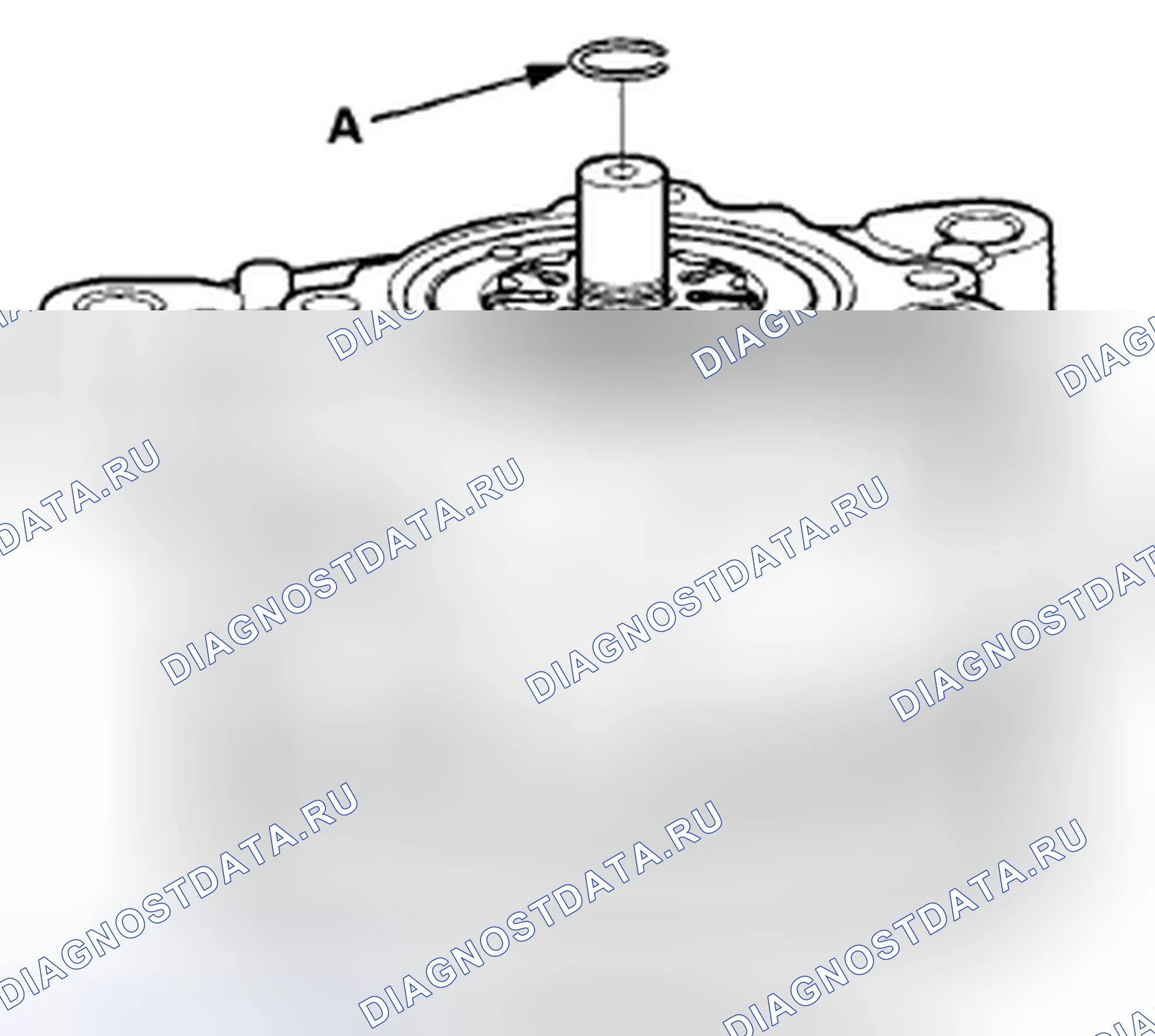 Рис. 253. Honda Crosstour I