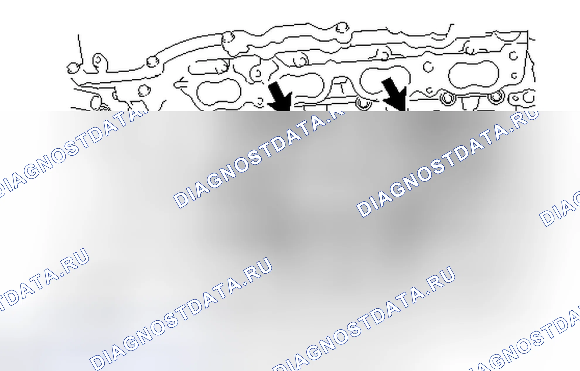Рис. 239. Lexus IS F I