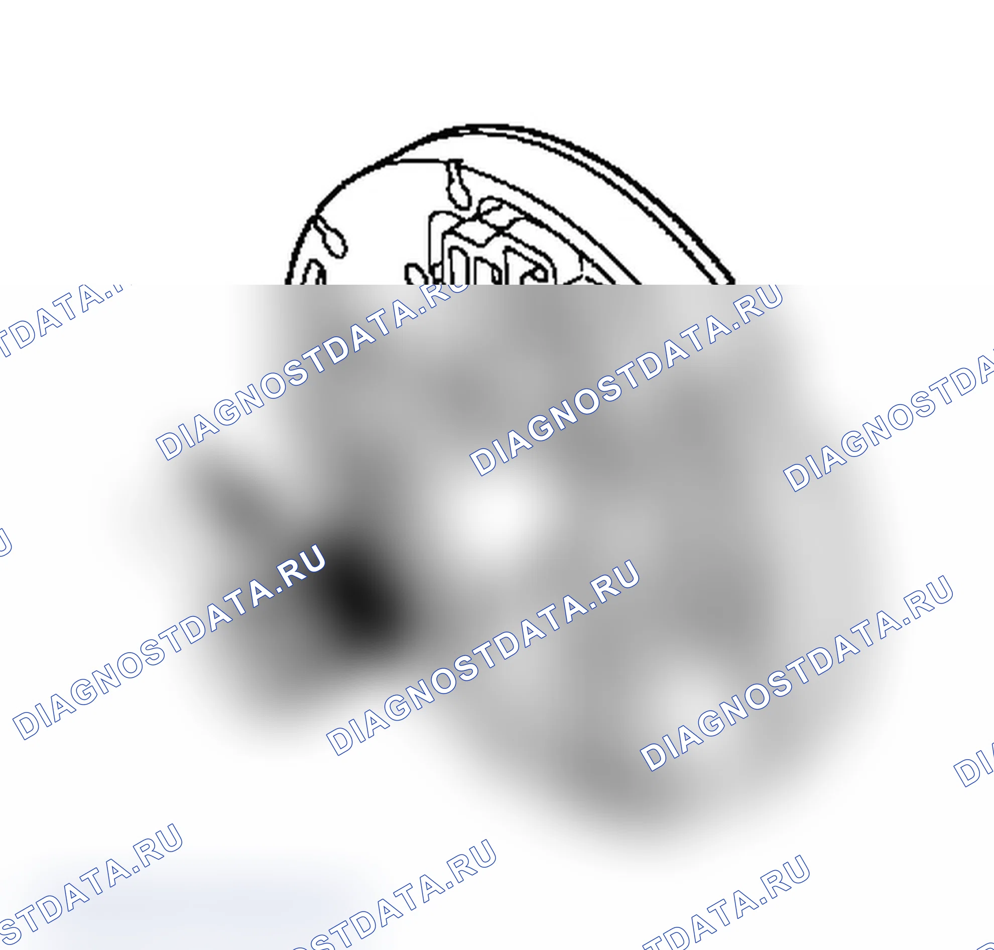 Рис. 805. Chevrolet Silverado 1500 