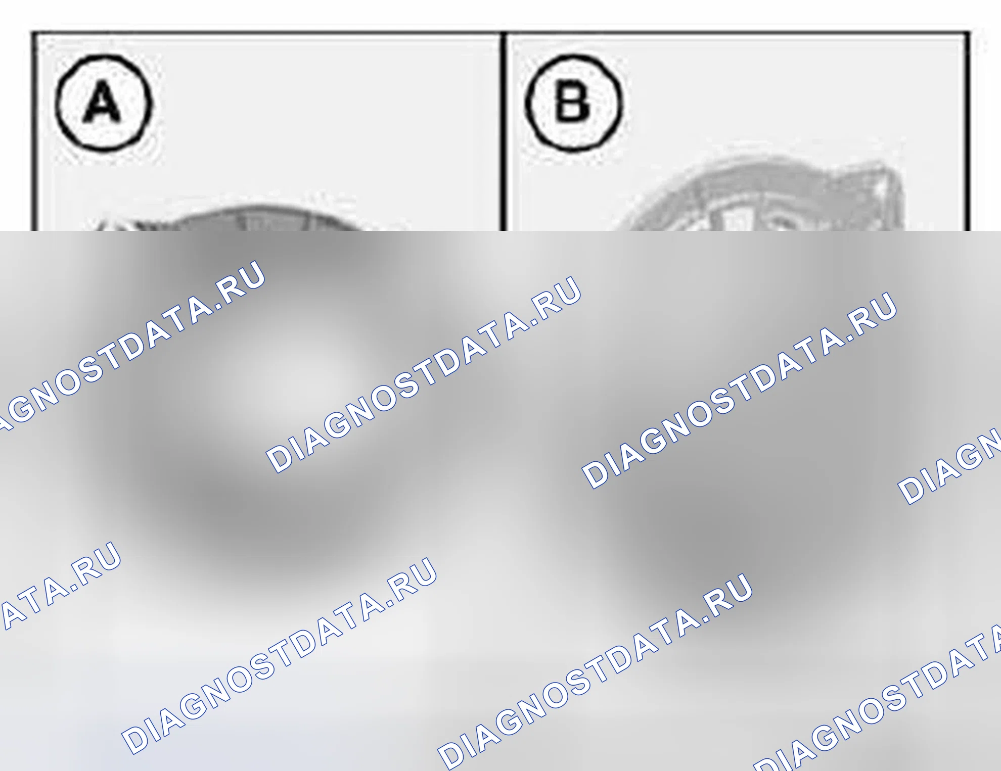 Рис. 2108. BMW M3 E90
