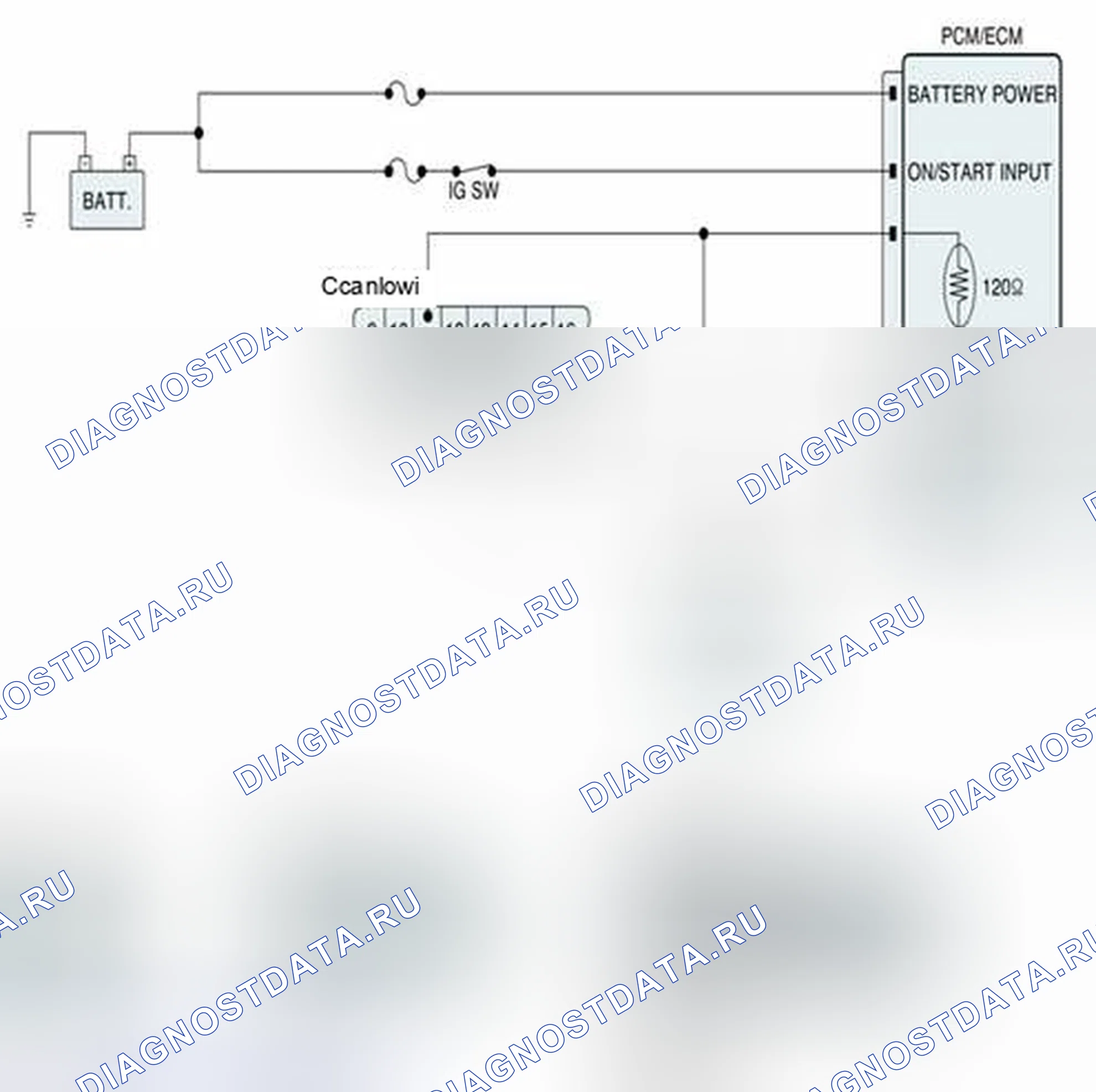Рис. 93: Схема диагностической цепи. BMW 6 серия F06/F13/F12