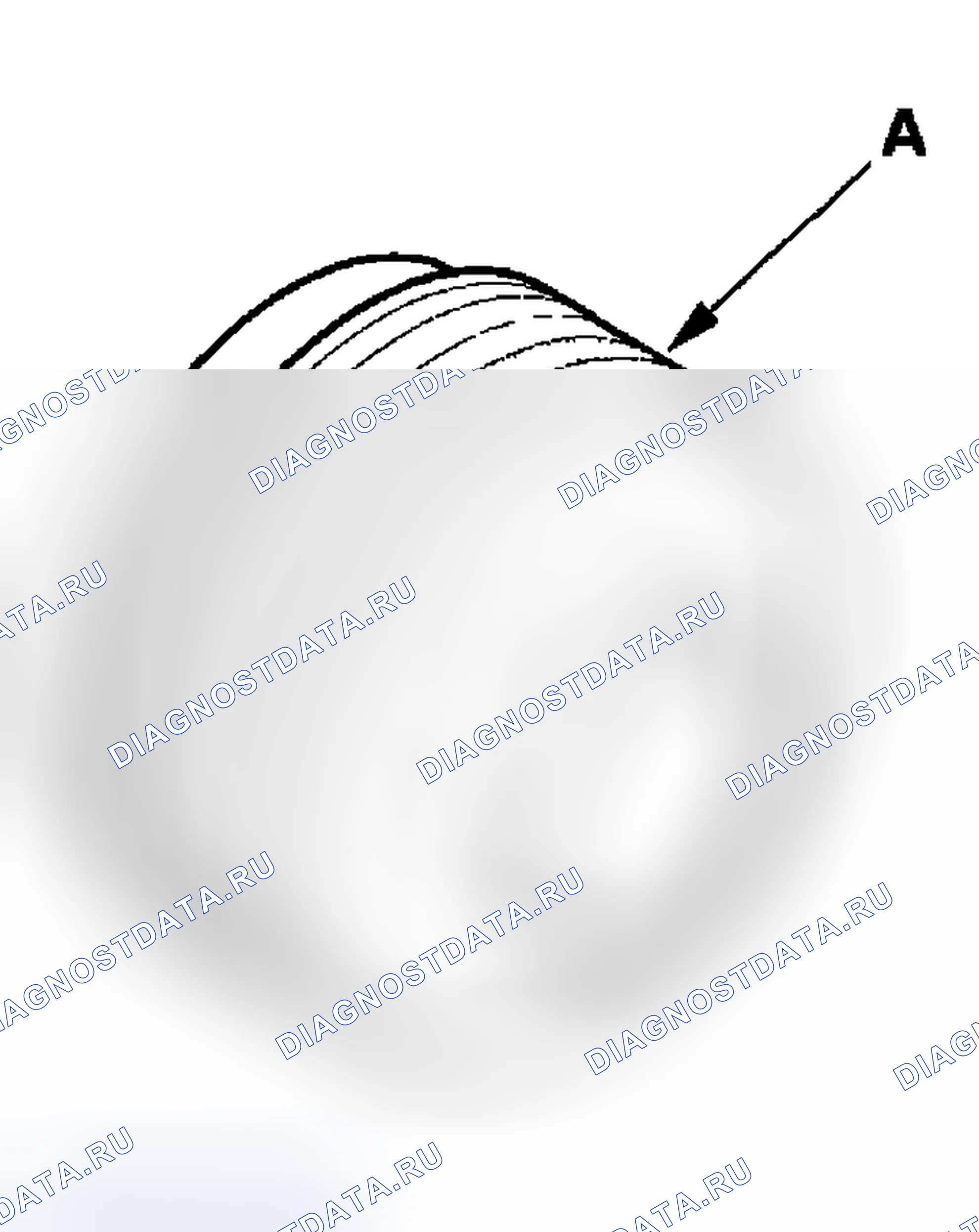 Рис. 7. Acura RSX I