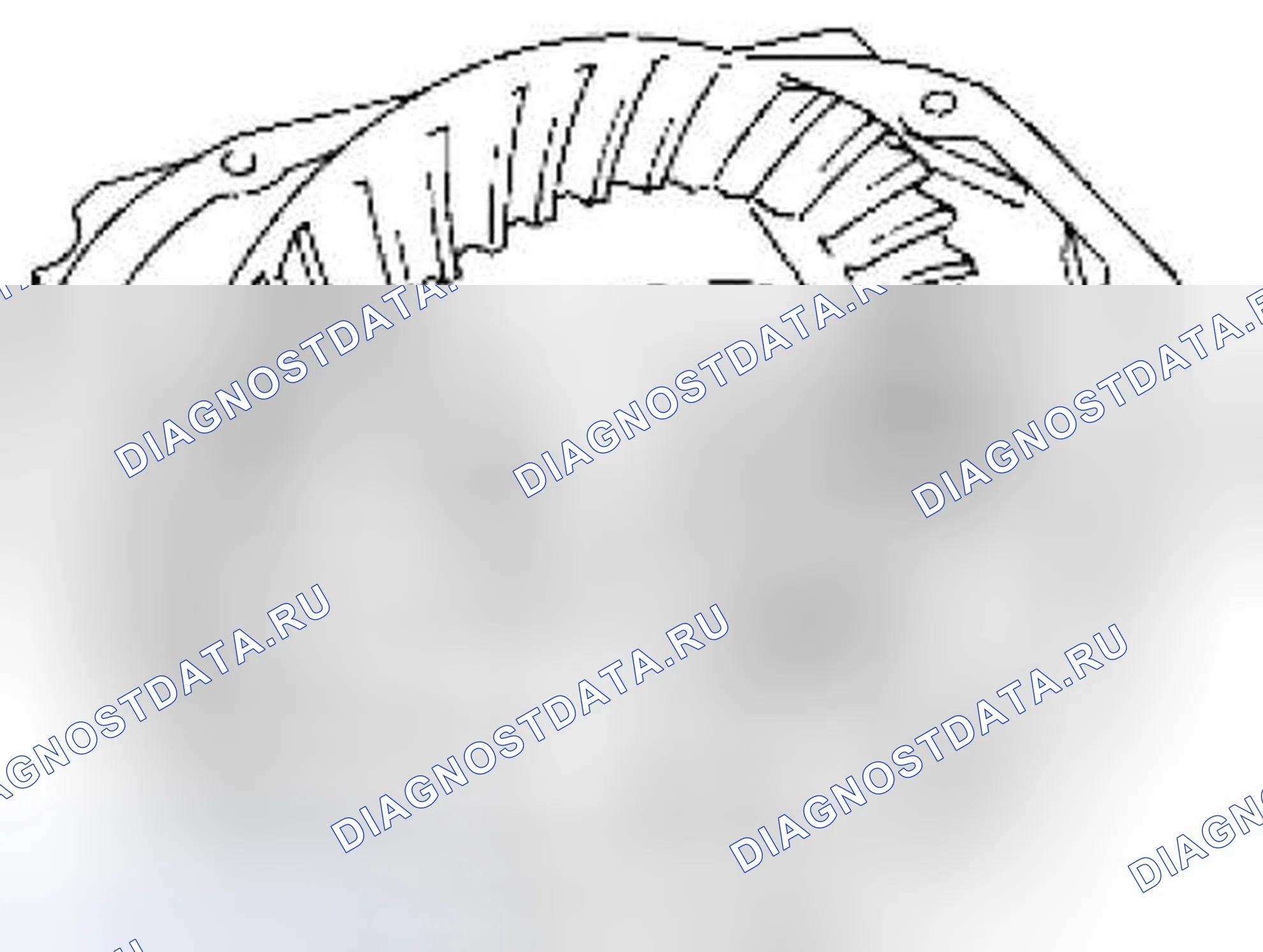 Рис. 34. Suzuki Equator I