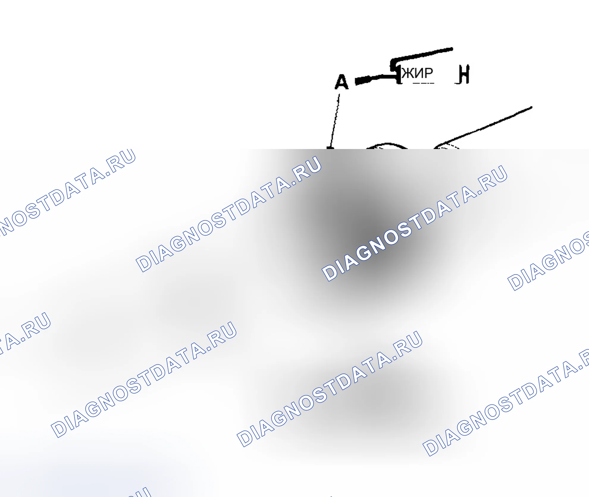 Рис. 53. Honda Odyssey II