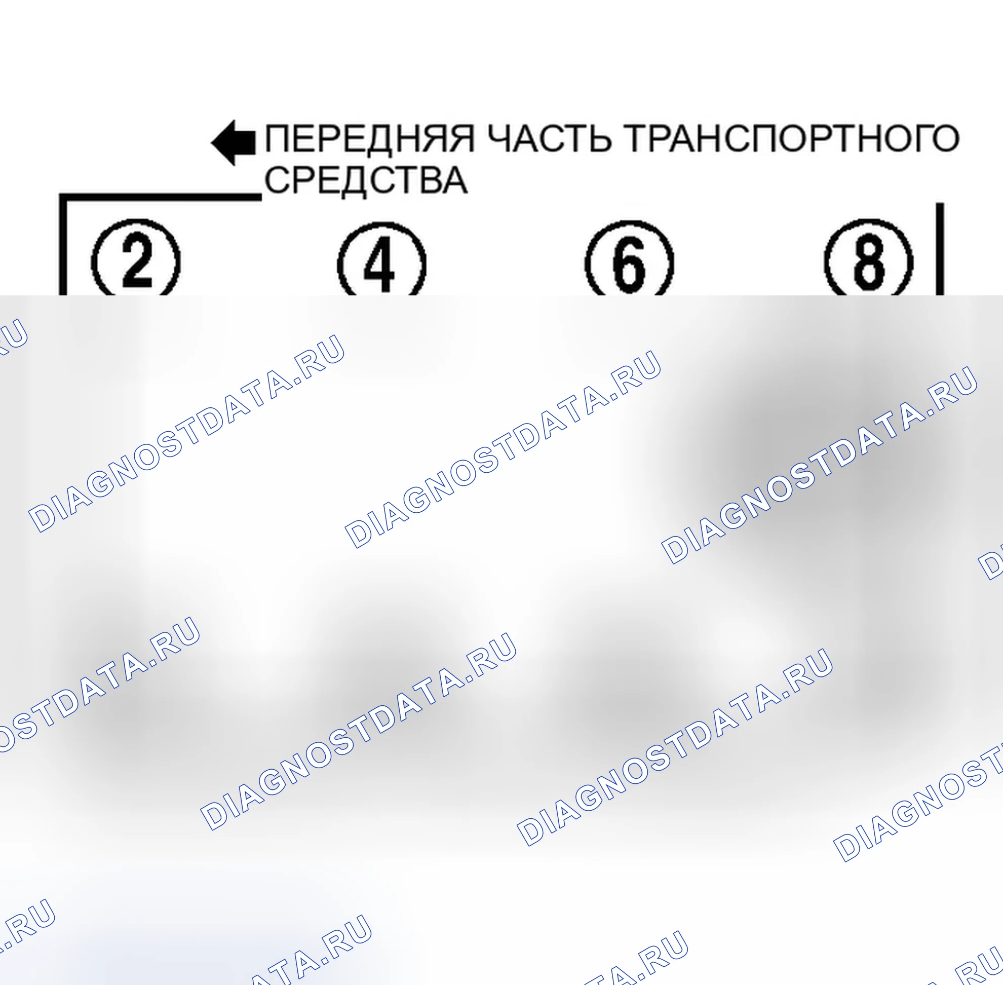 Рис. 7: порядок работы цилиндров и вращение дистрибьютора 5.2L и 5.9L бензин V8 (Dakota, Durango, Ram Pickup, Ram Van &. Dodge Durango I