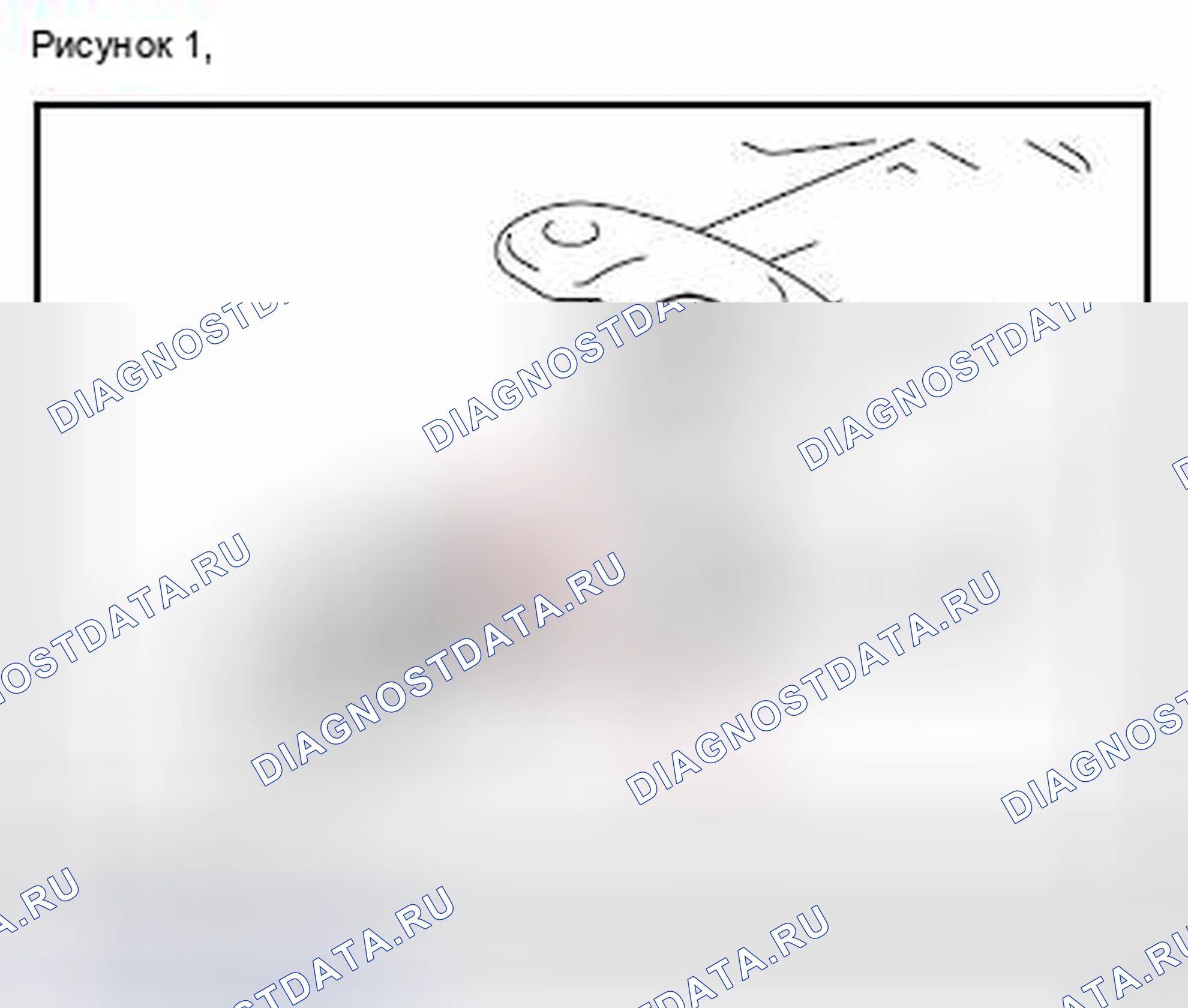 Рис. 298: Высоко установленный стоп-сигнал (с задним спойлером) Вид с торца разъема (H18). Toyota 4Runner IV рестайлинг