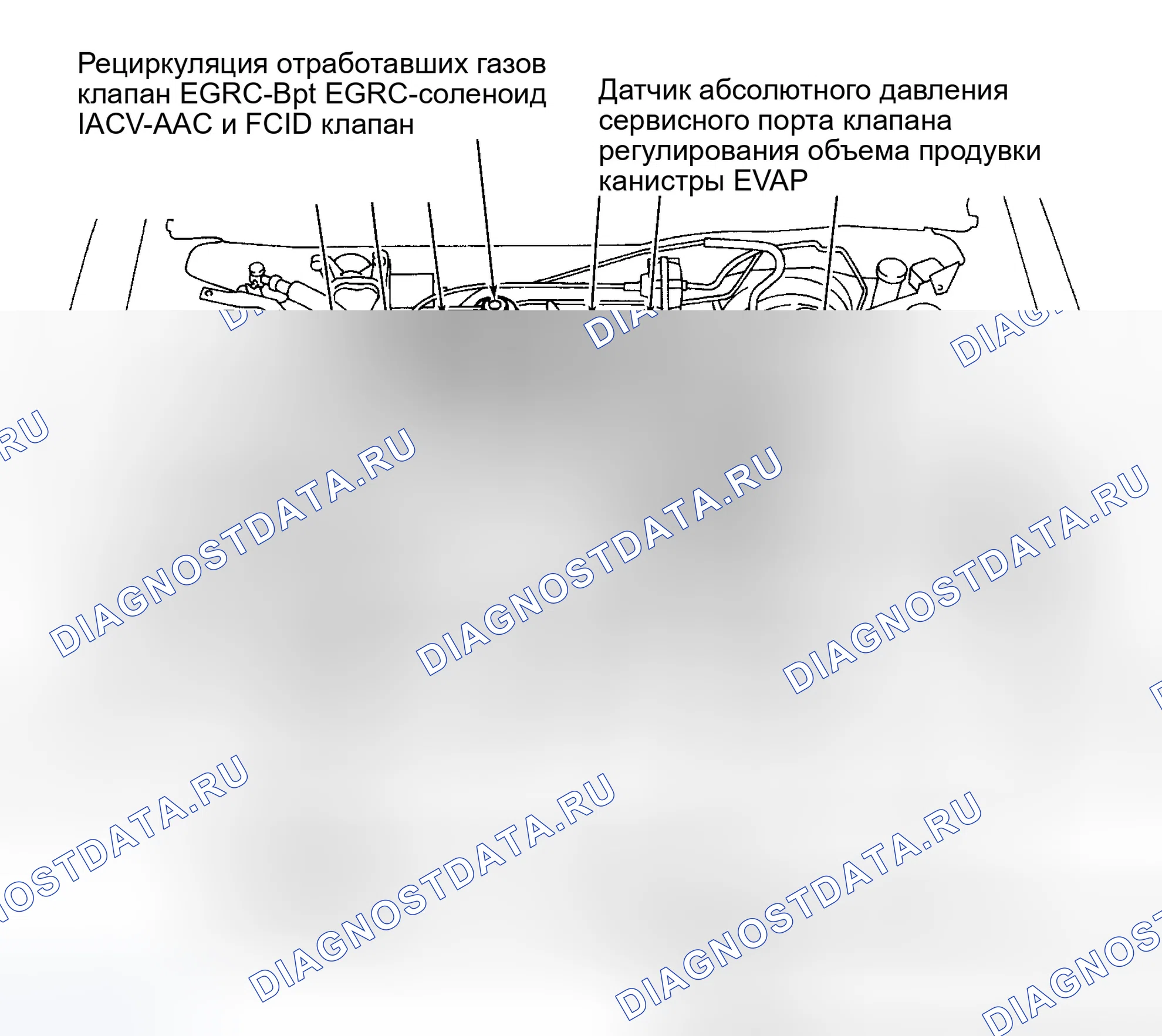 Рис. 44: РАСПОЛОЖЕНИЕ КОМПОНЕНТОВ. Infiniti QX4 I