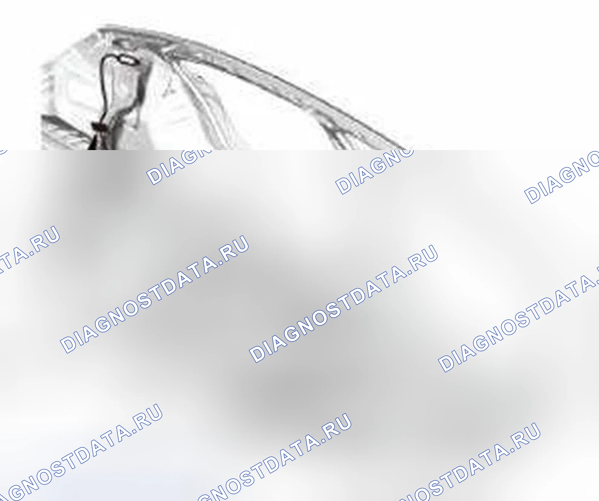 Рис. 828. Honda Civic IX