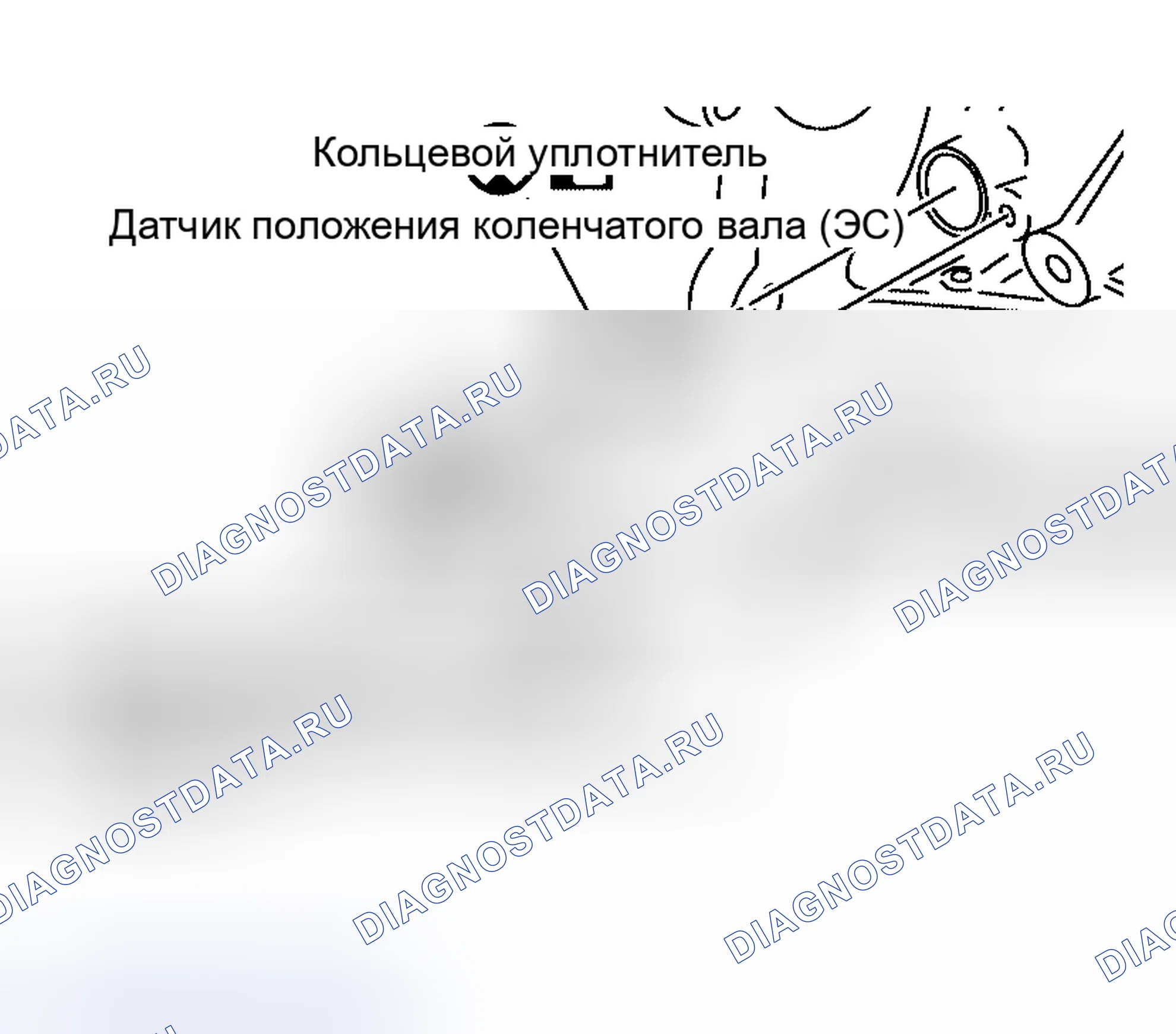 Рис. 54: РАЗБОРКА. Nissan Altima L31 рестайлинг