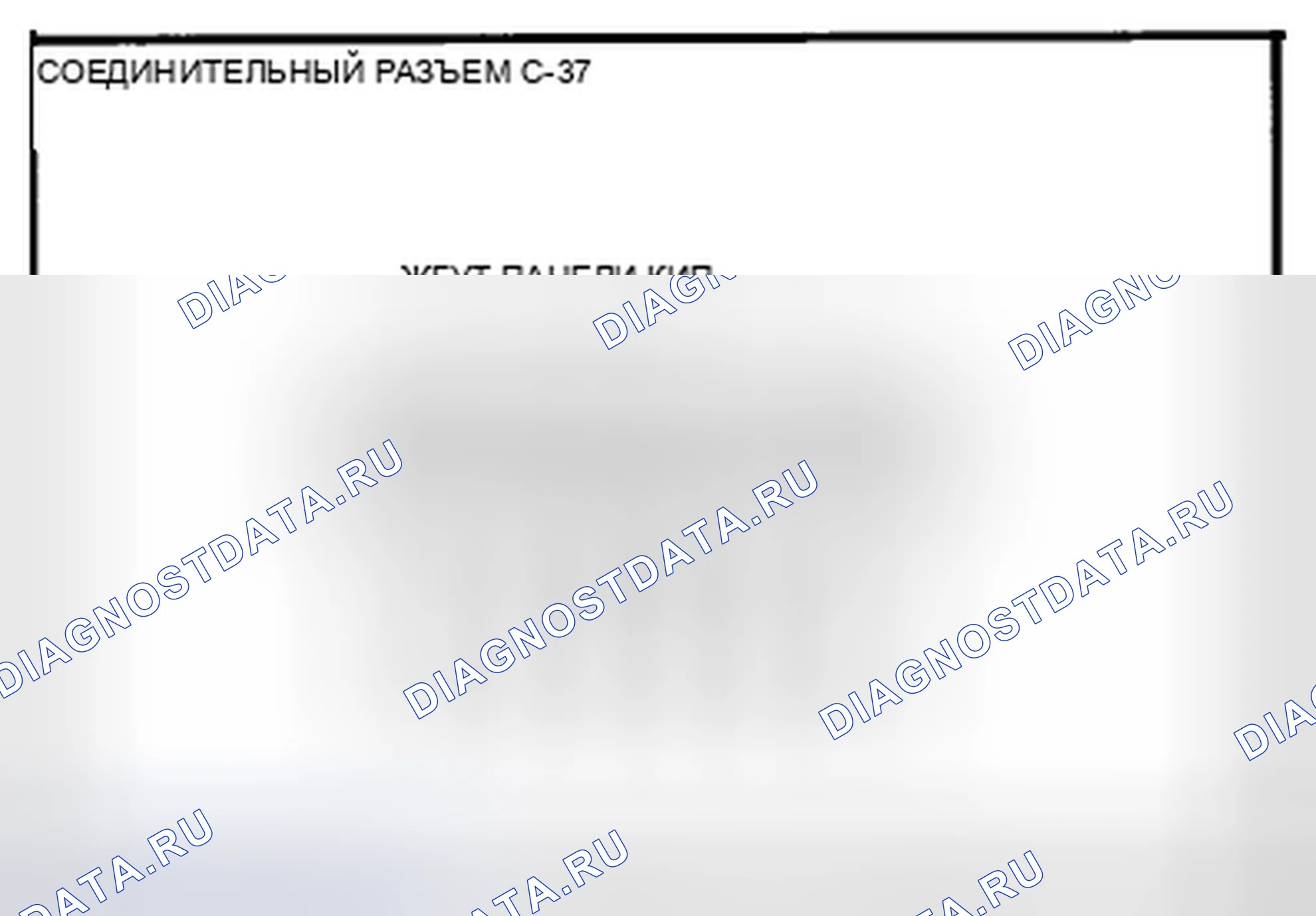 Рис. 64: Идентификация клемм соединительного разъема (C-36). Mazda CX-5 I