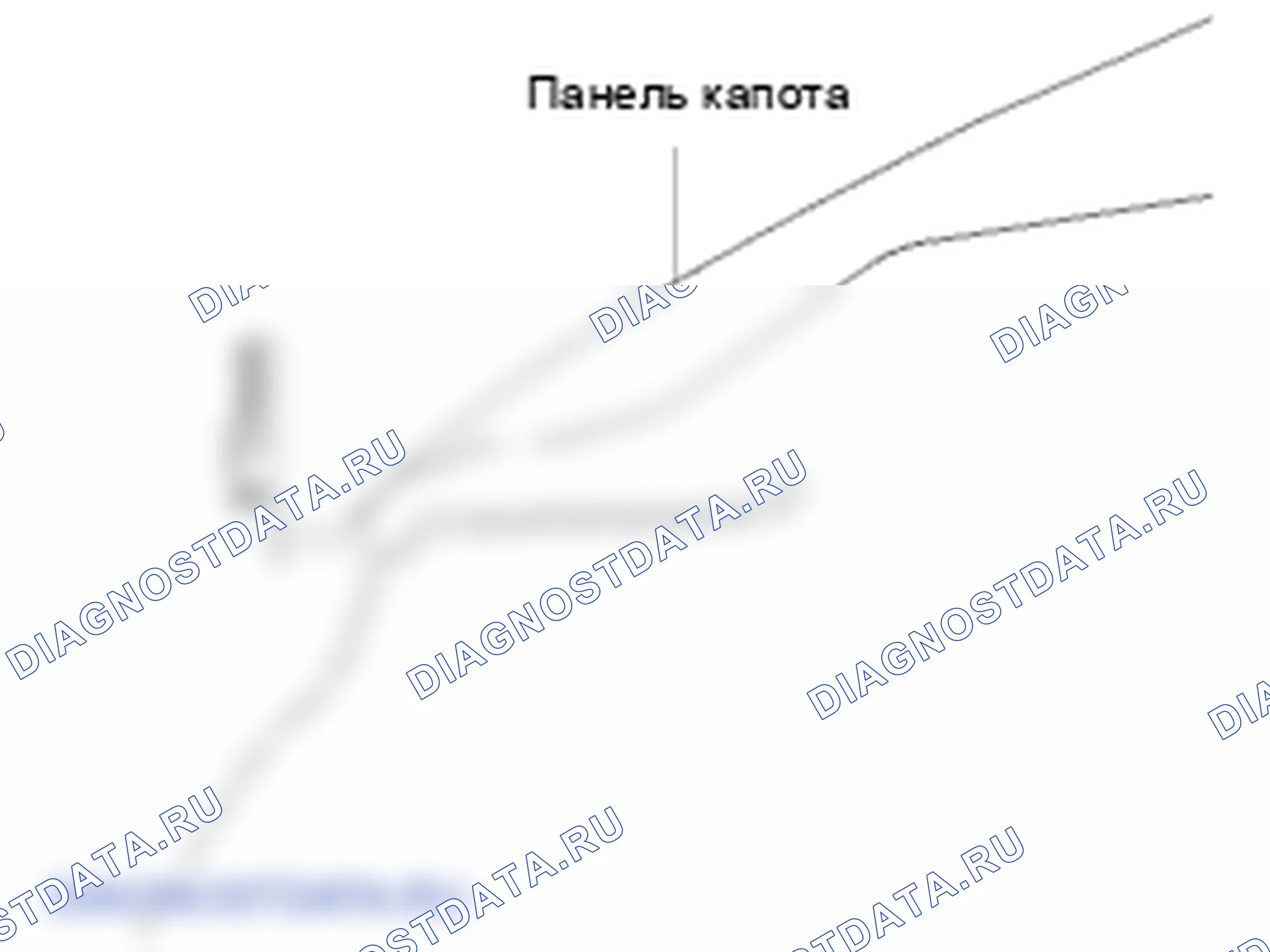 Размеры передней части тела. Hyundai Elantra V рестайлинг