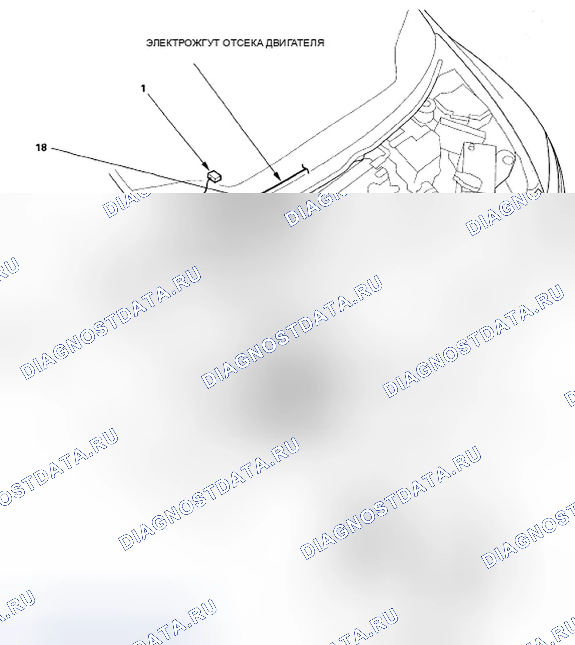 Рис. 47: Идентификация соединителей и жгутов - провод моторного отсека. Honda Civic VIII