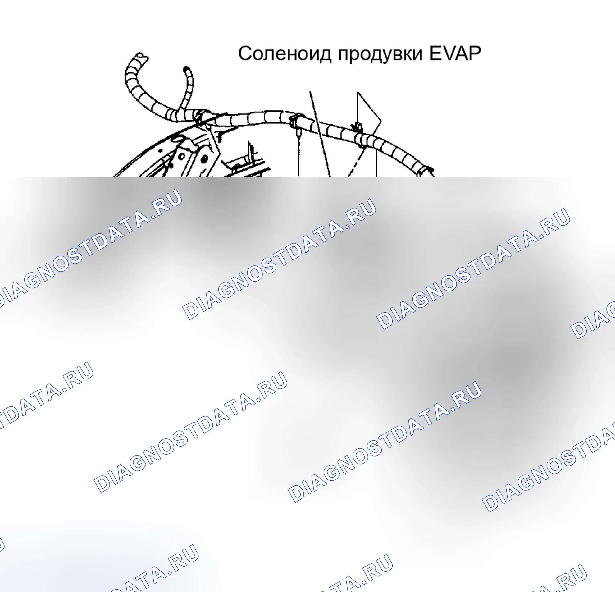 Рис. 43: Соленоид продувки канистры EVAP. GMC Sierra 1500 HD 
