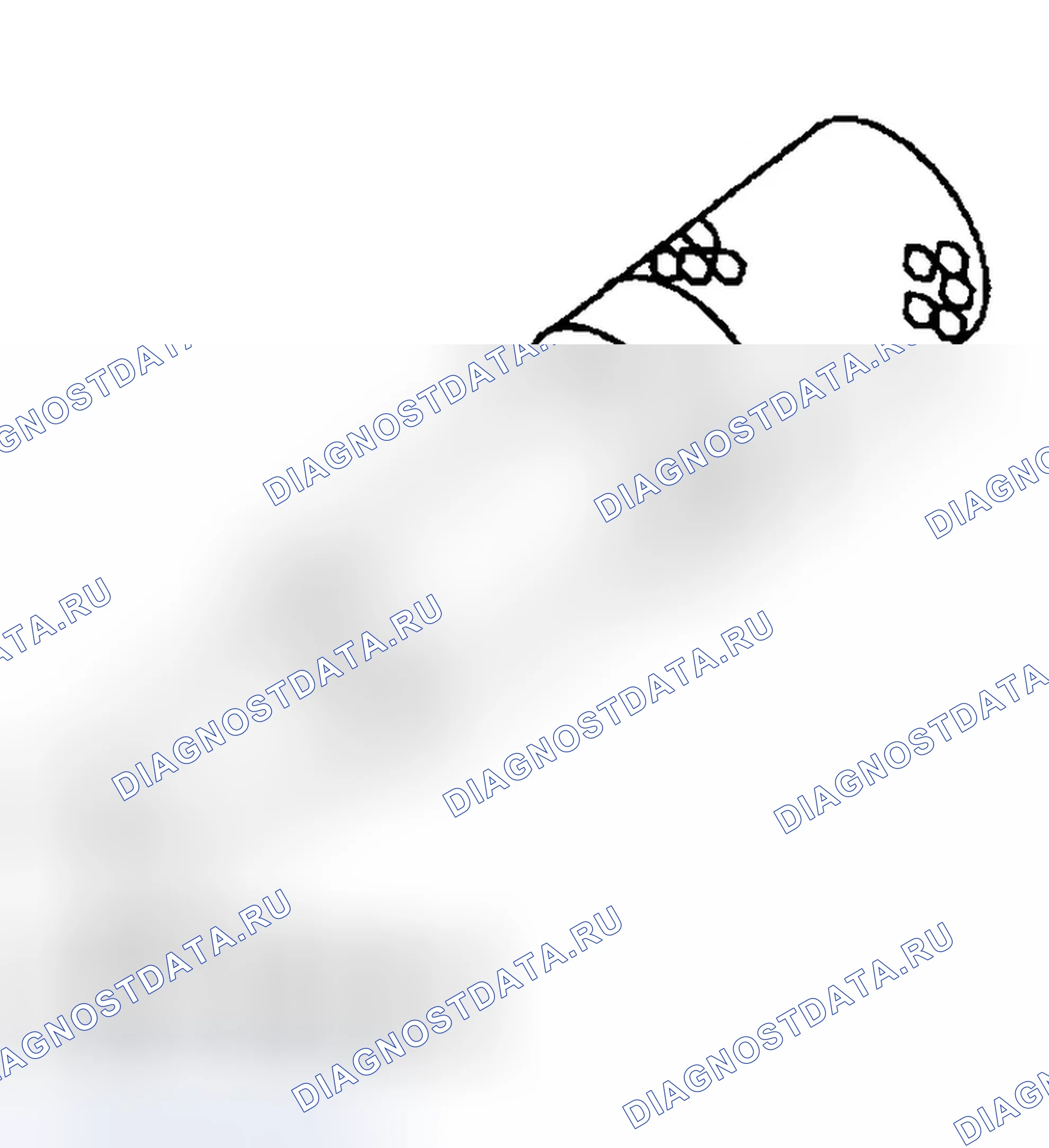 Рис. 1496. Ford Focus I рестайлинг