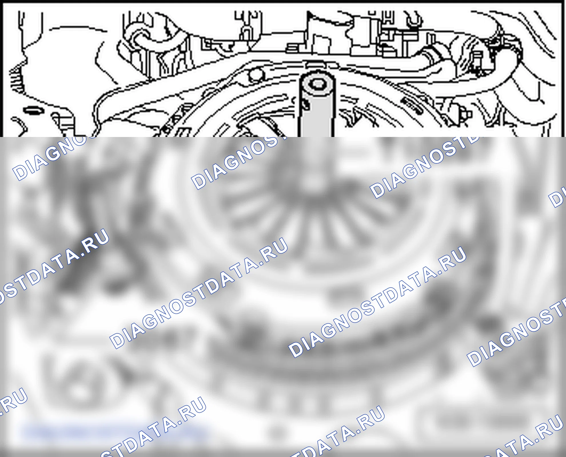 Сцепление. Volkswagen Golf Mk5