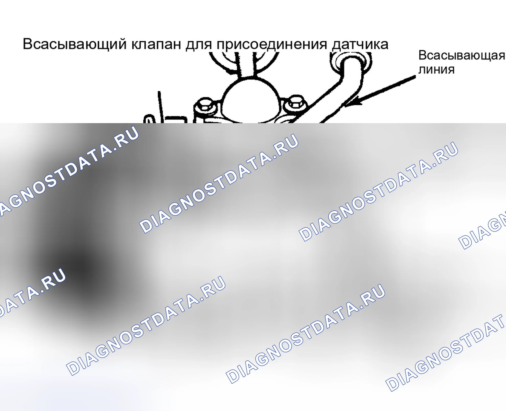 Рис. 3: Проверка масла компрессора 6-цилиндр Ford и Nippondenso. Ford Escort III