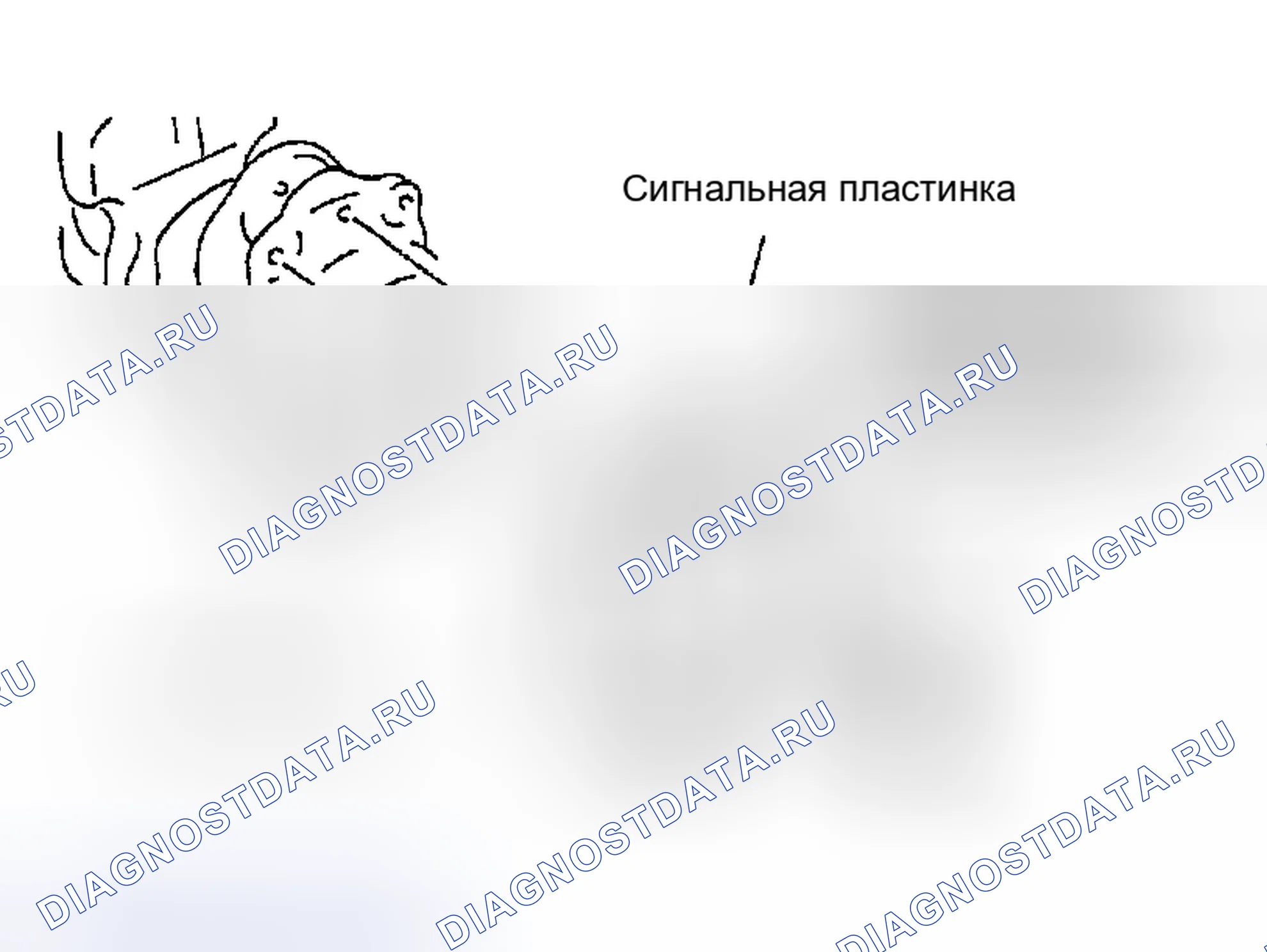 Рис. 138. Nissan Altima L31