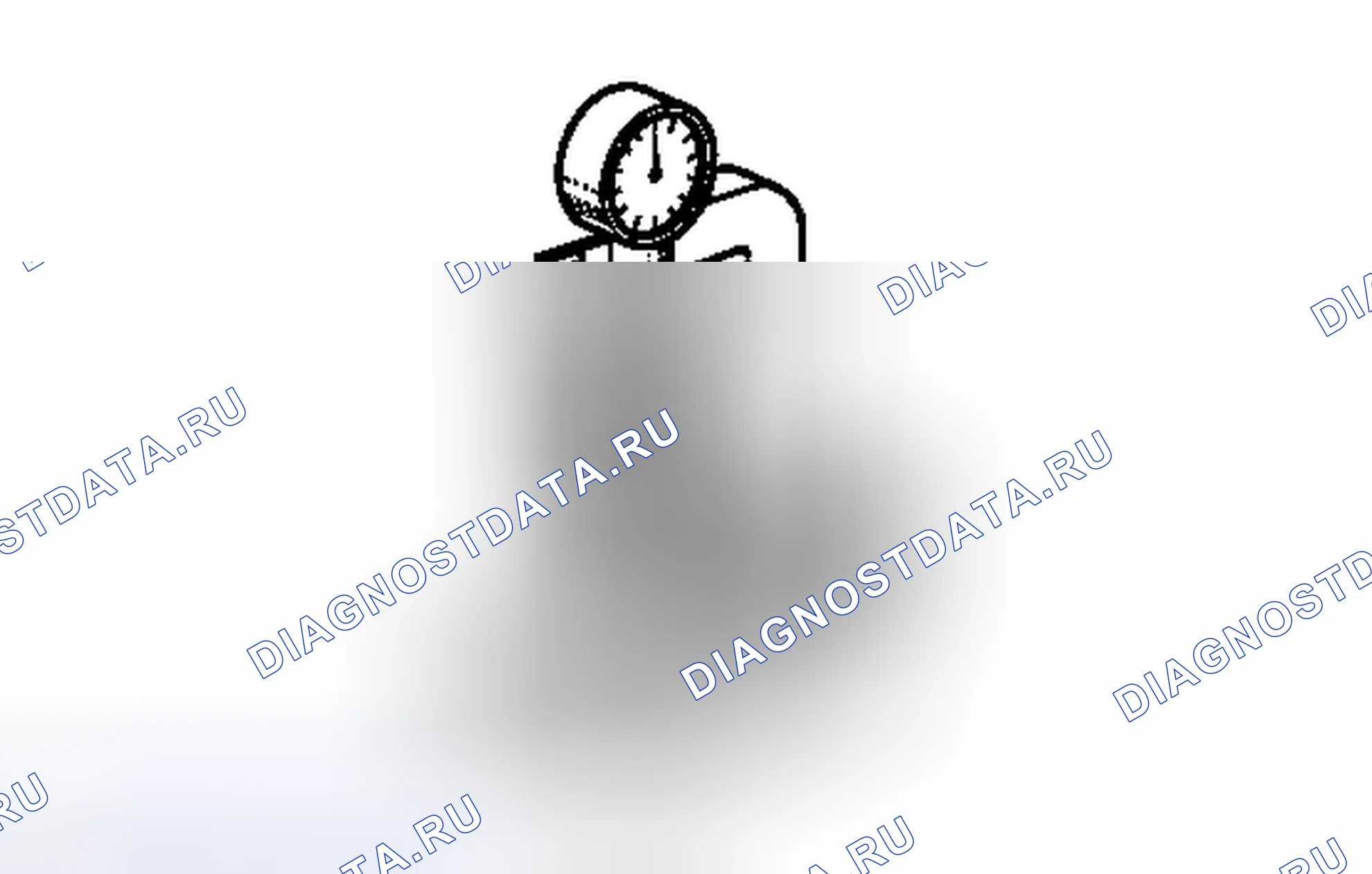 Рис. 272. Toyota FJ Cruiser I